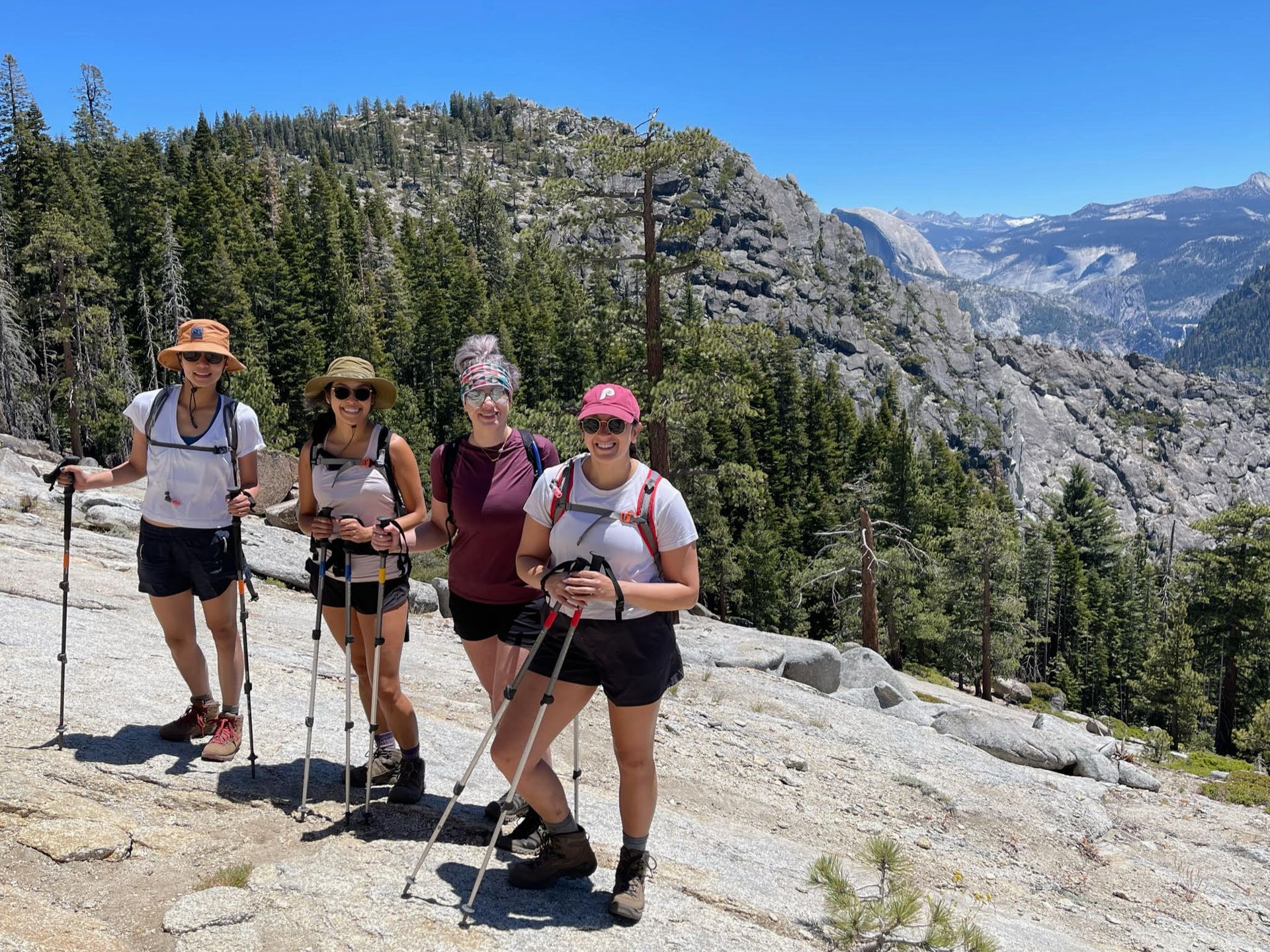 A group of people are standing on top of a mountain holding hiking poles.