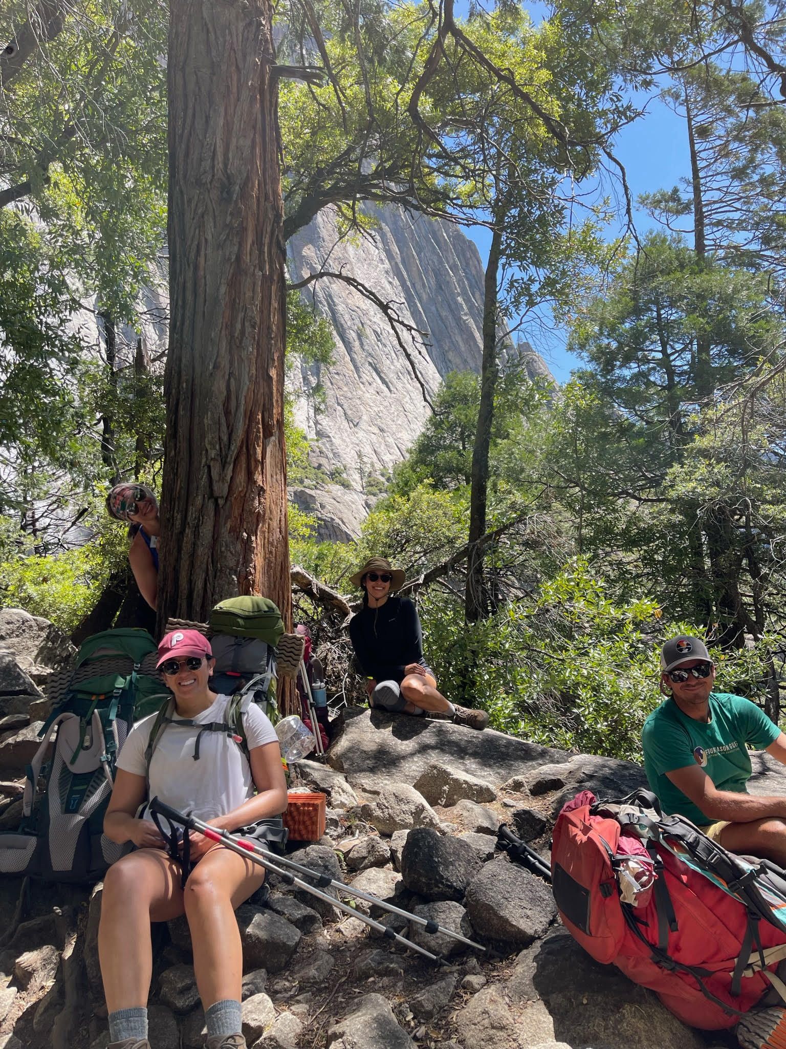 A group of people are sitting under a tree in the woods.
