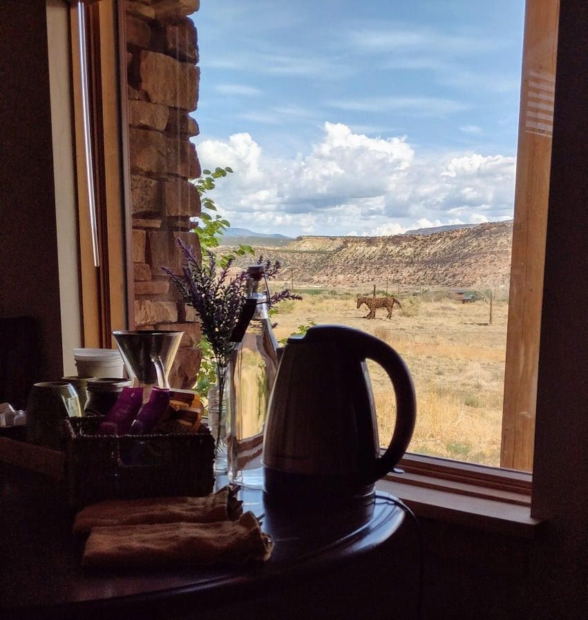 a window overlooking the mountains and a tea kettle inside