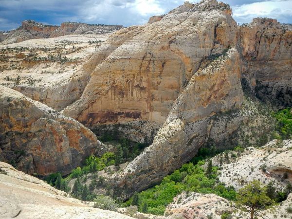 Rocky desert canyon with layered cliffs and green vegetation under a partly cloudy sky
