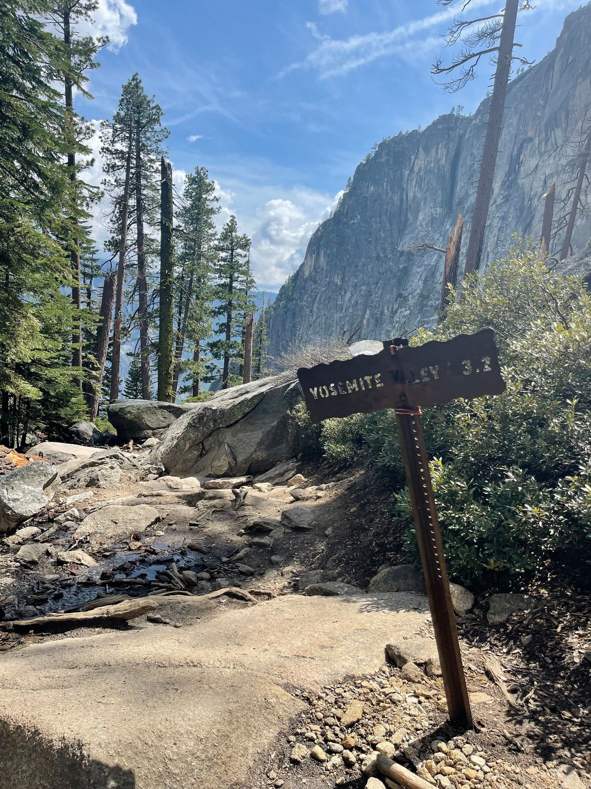 A wooden sign in the middle of a forest with a mountain in the background.