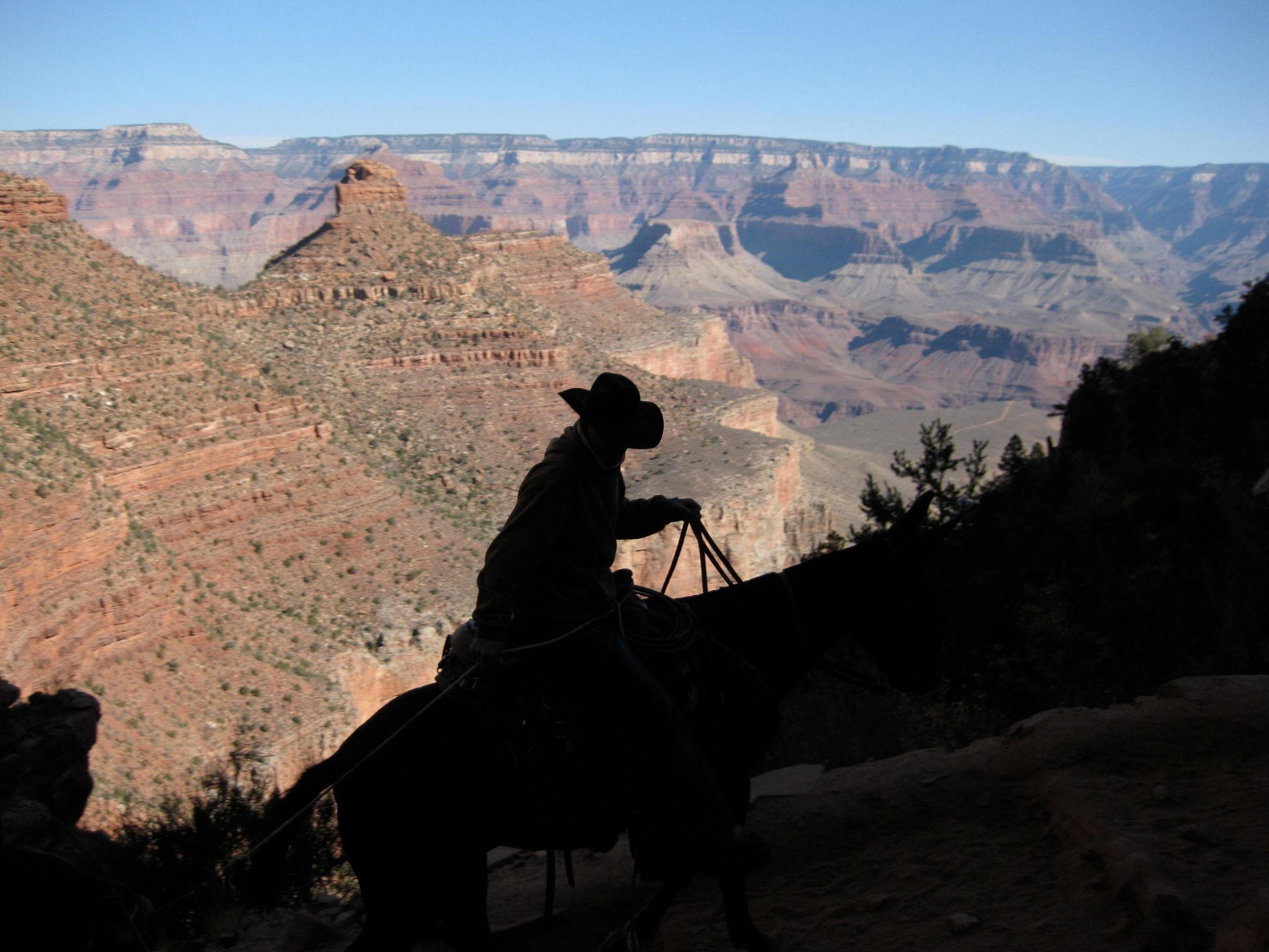 A silhouette of a man riding a horse in the grand canyon