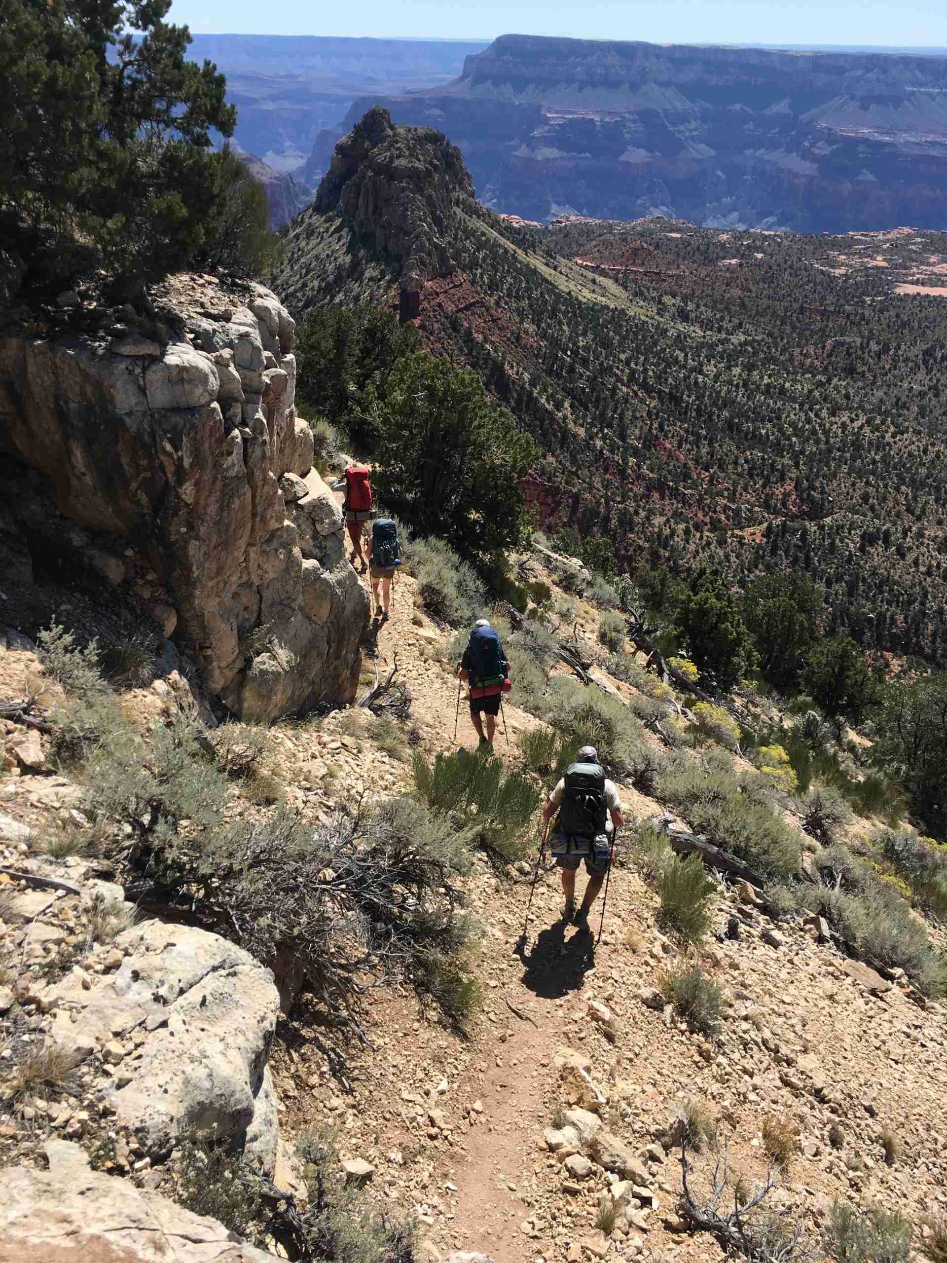 A group of people are hiking down a trail in the mountains.