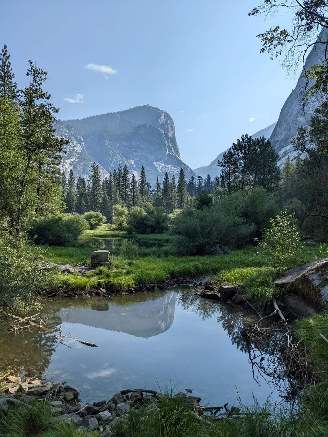 A small pond in the middle of a forest with a mountain in the background.