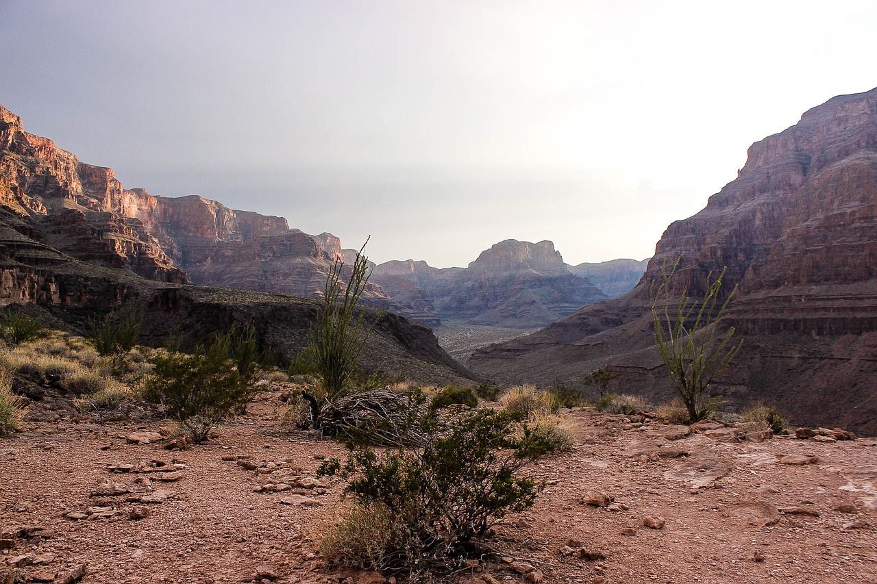 A desert landscape with mountains in the background and a small plant in the foreground.