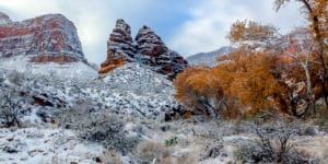 A snowy mountain landscape with trees and rocks covered in snow.