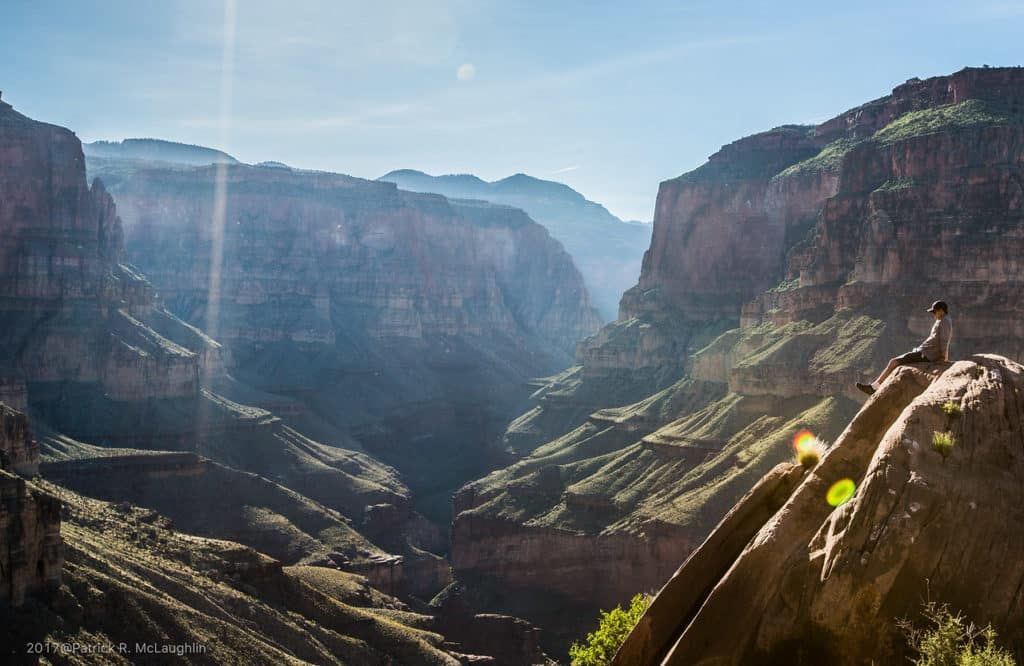 A bird is perched on a rock in the middle of a canyon.