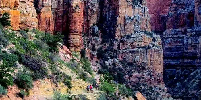 A group of people are hiking down a trail in the grand canyon.