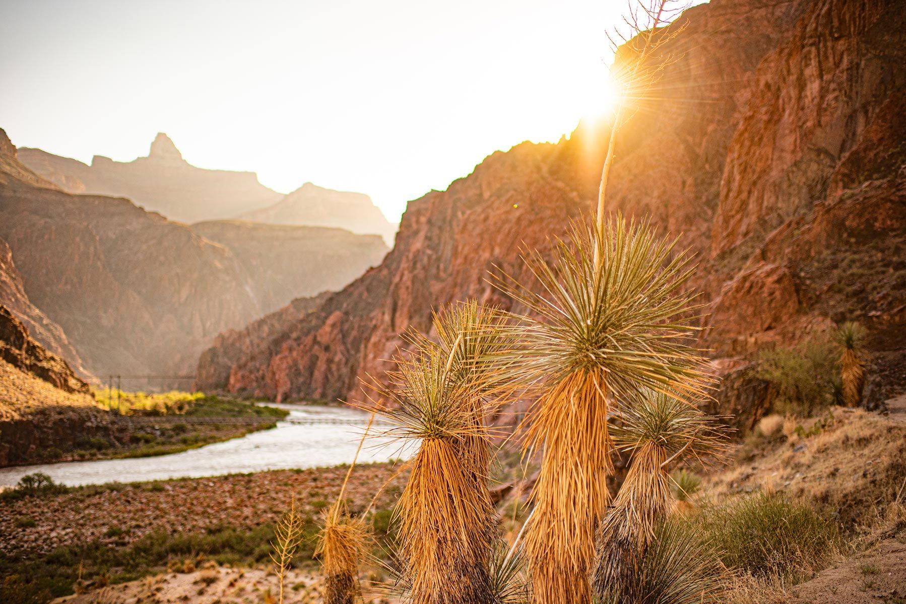 The sun is setting over a river in the middle of a canyon.