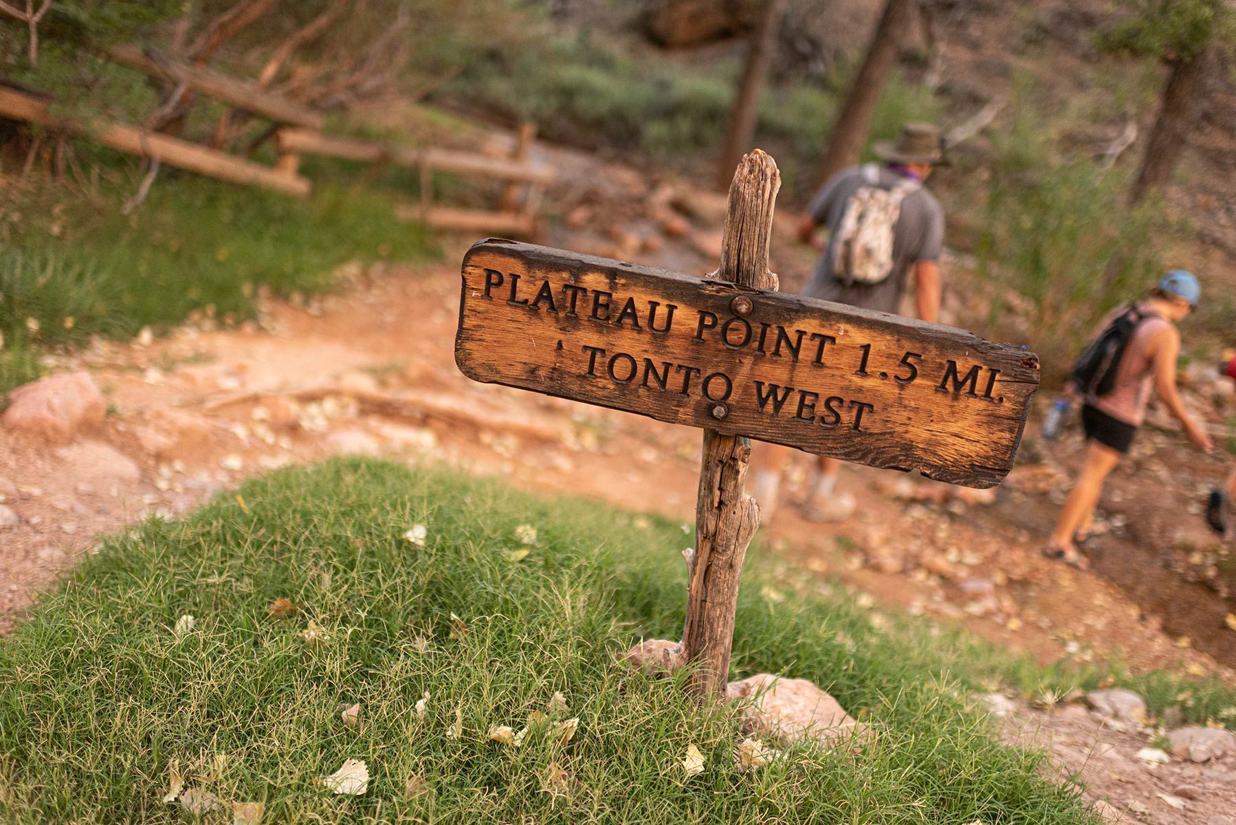 A couple of people are walking down a trail next to a wooden sign.