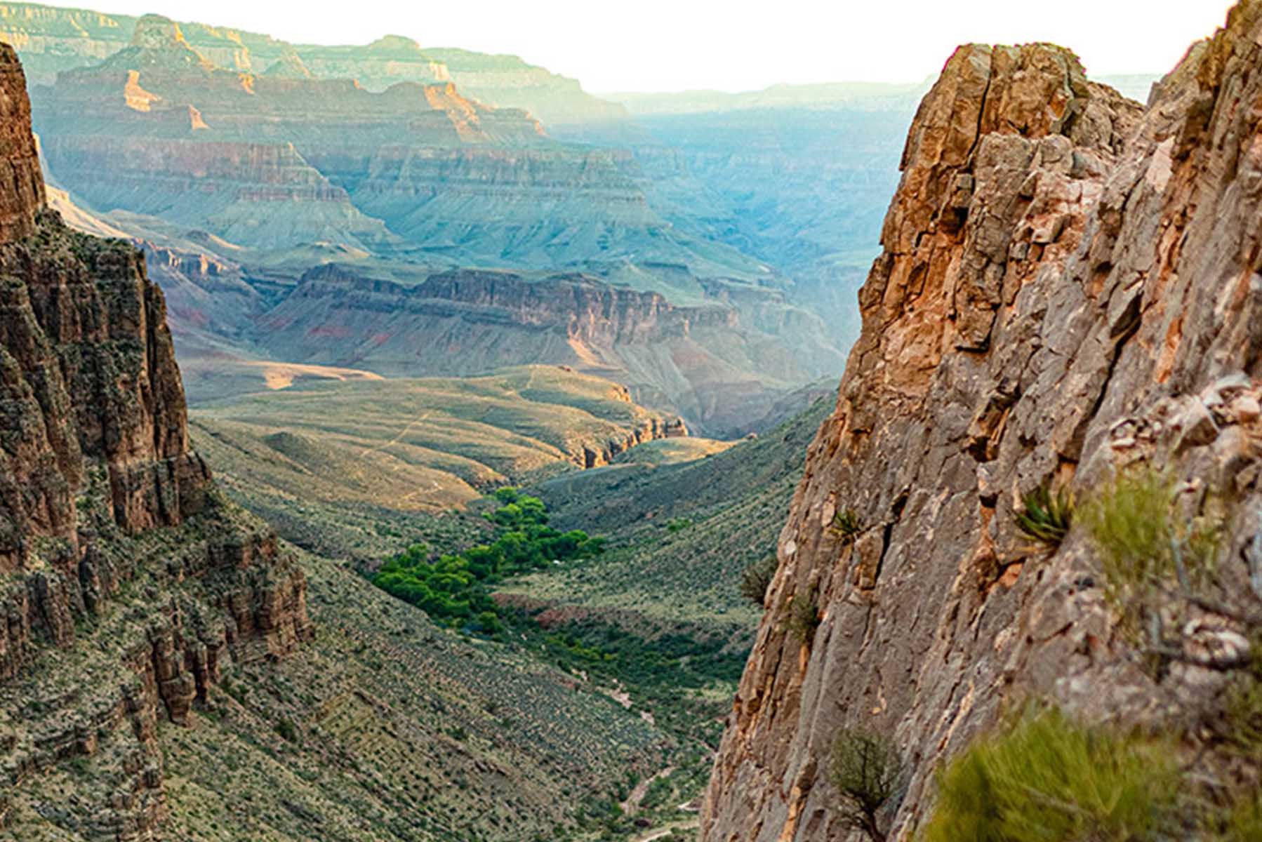 Trees grow in the ravine between orange canyon walls