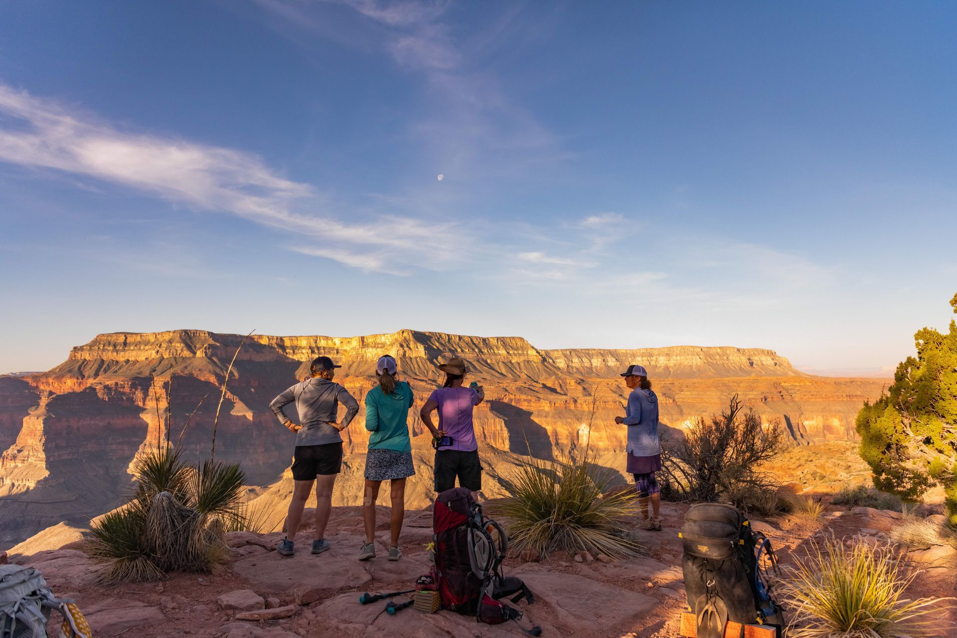 A group of people are standing on top of a cliff overlooking a canyon.