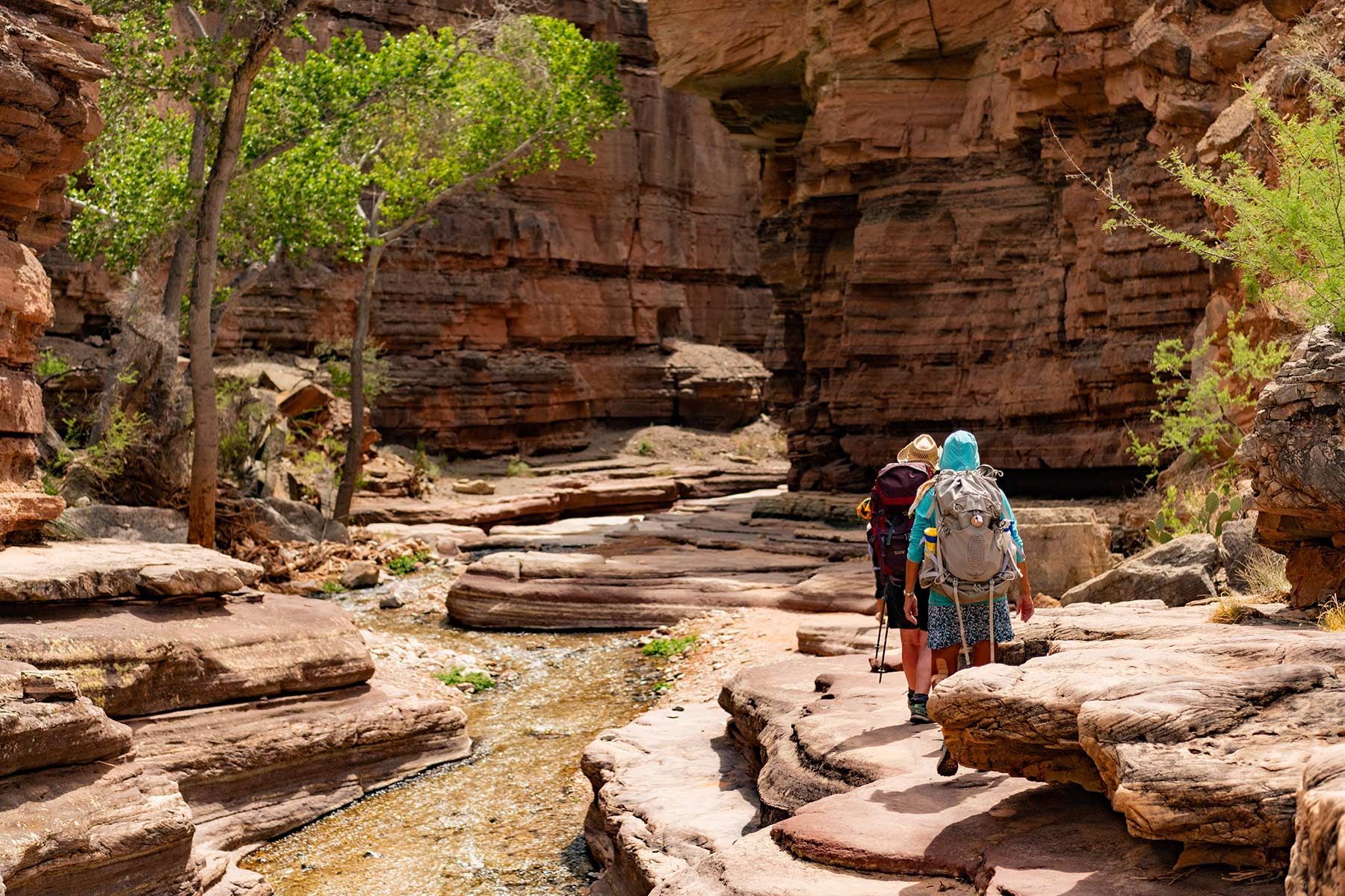 A group of people are hiking through a canyon.