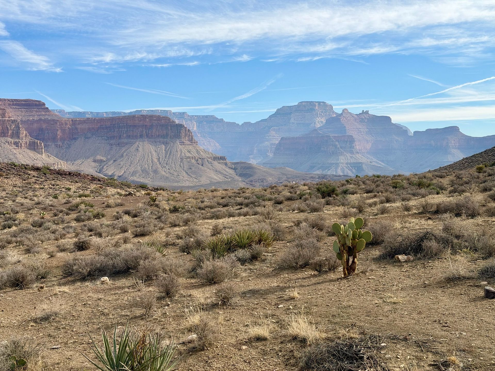 Canyon landscape with dry, brown vegetation in the foreground and layered red-brown rock cliffs under a blue sky.