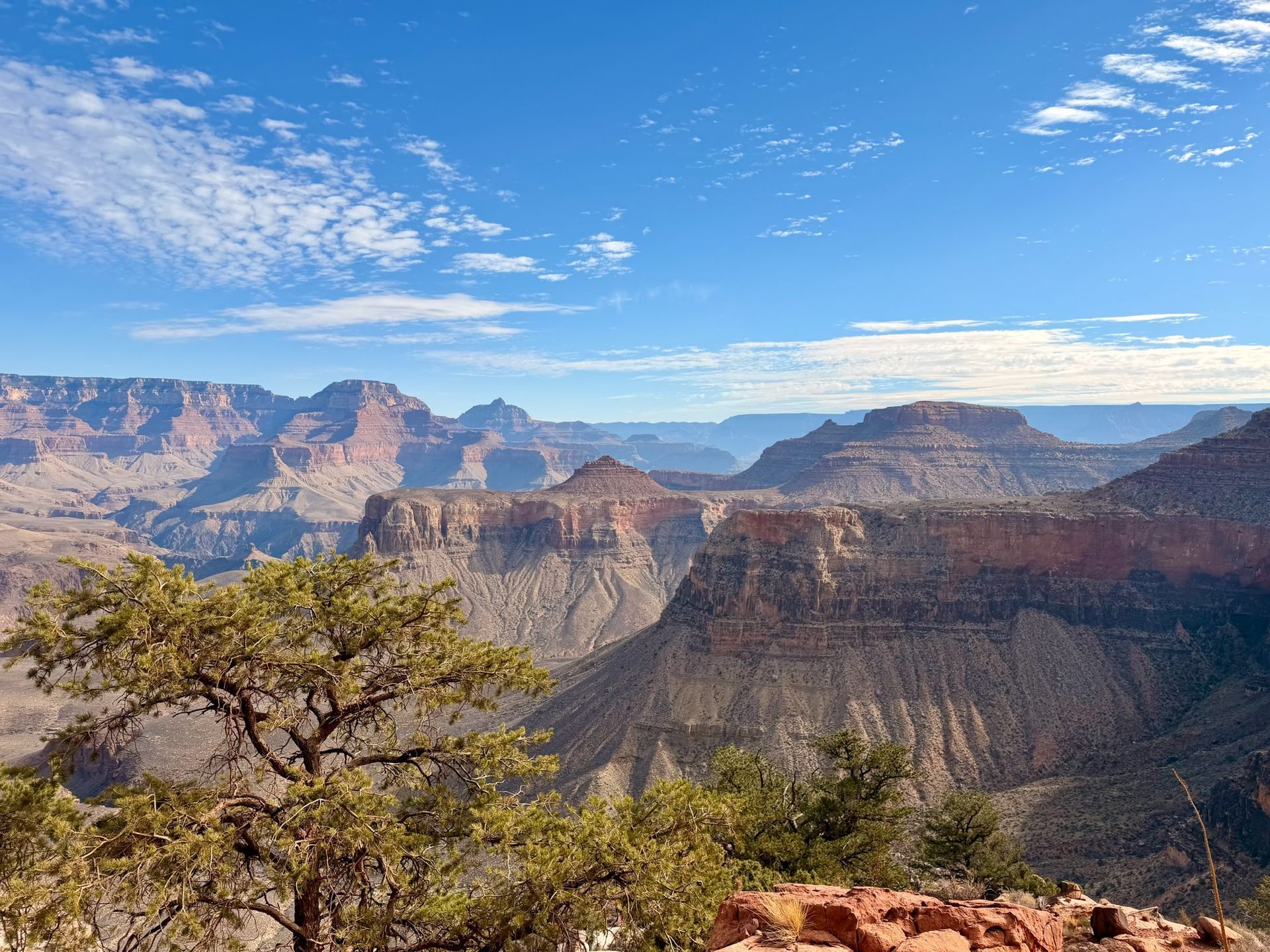 Grand Canyon vista with red rock formations under a blue sky, some clouds, and a foreground tree.