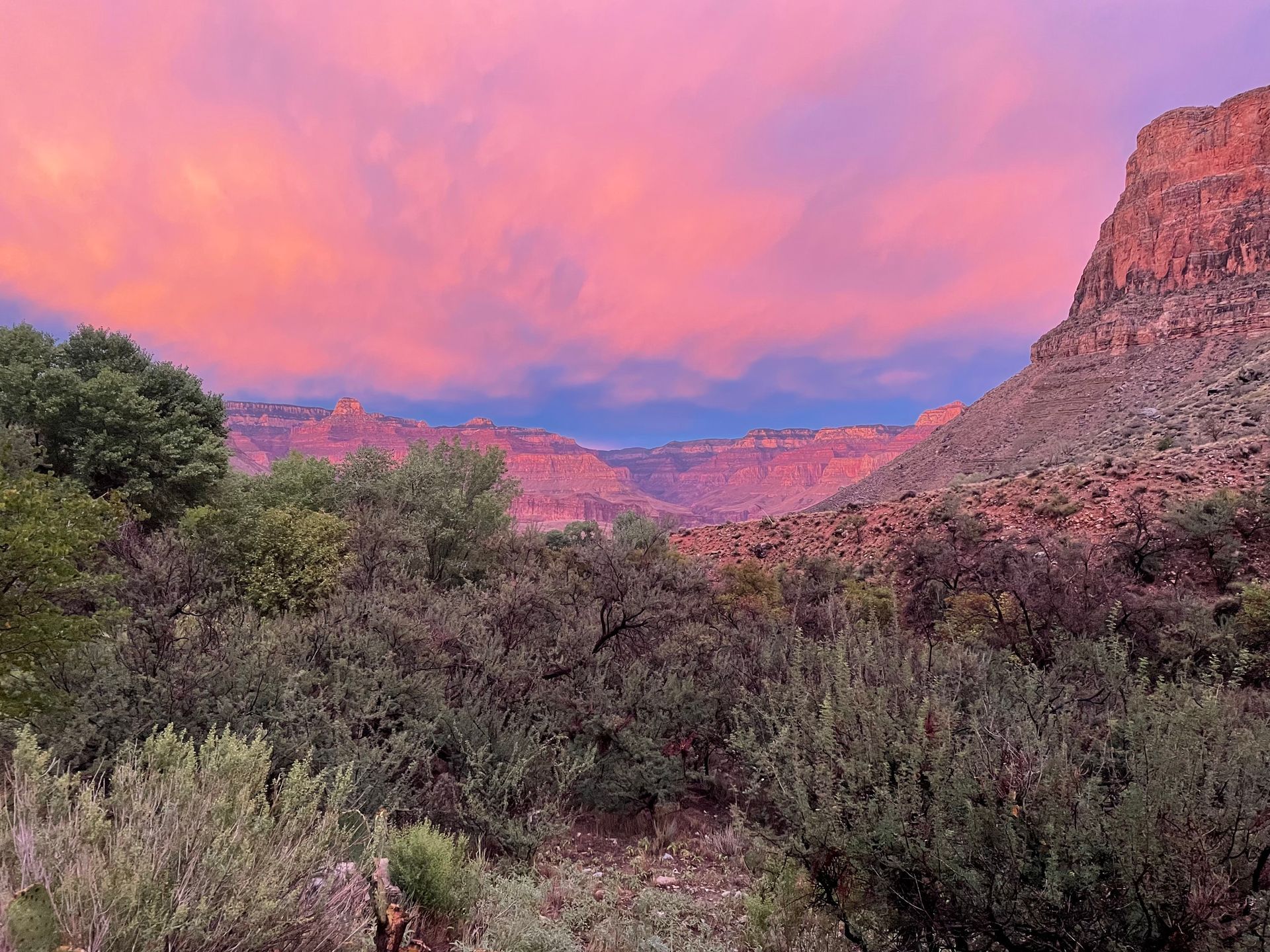 A sunset over a canyon with trees and mountains in the background.