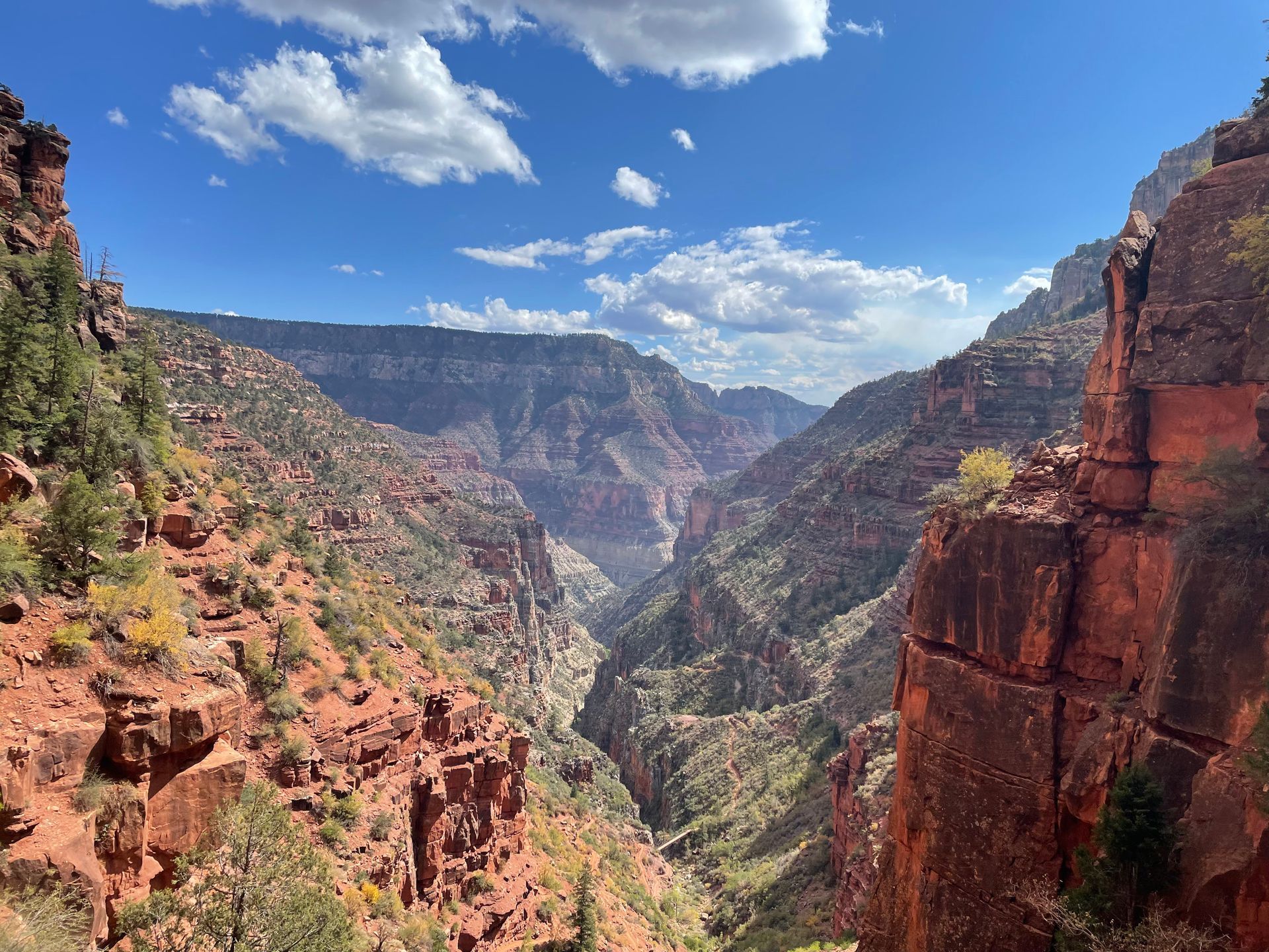 A view of a canyon from the top of a cliff.