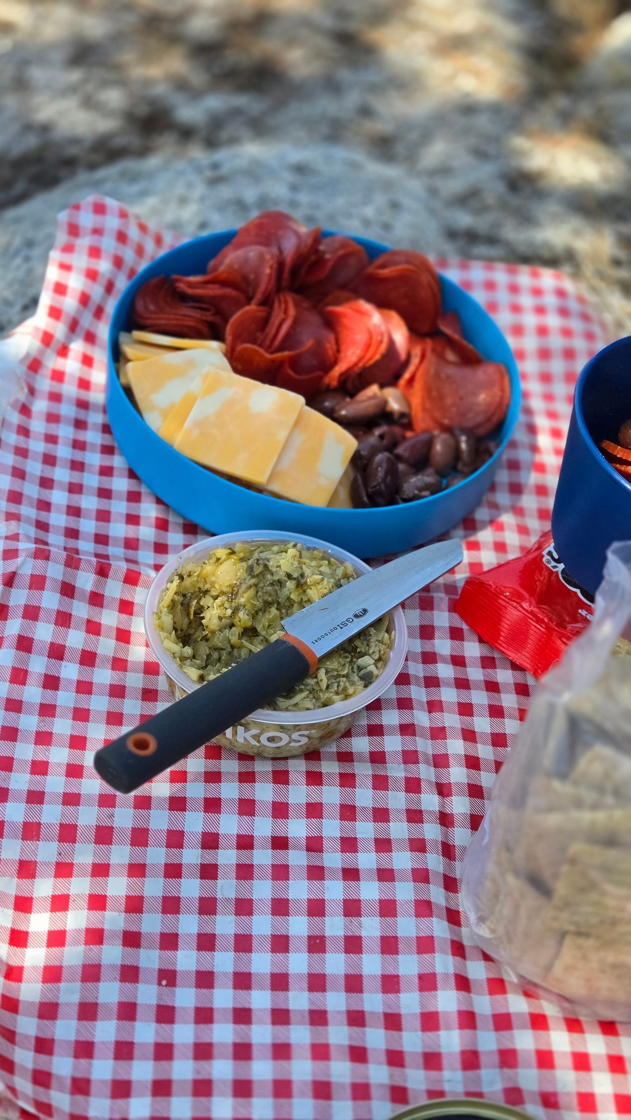 Picnic setup: charcuterie in a blue bowl, green dip, and knife on a red and white checkered tablecloth.