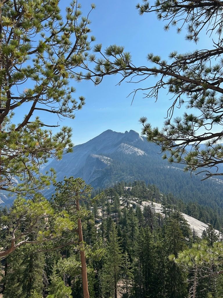 A view of a mountain surrounded by trees on a sunny day.