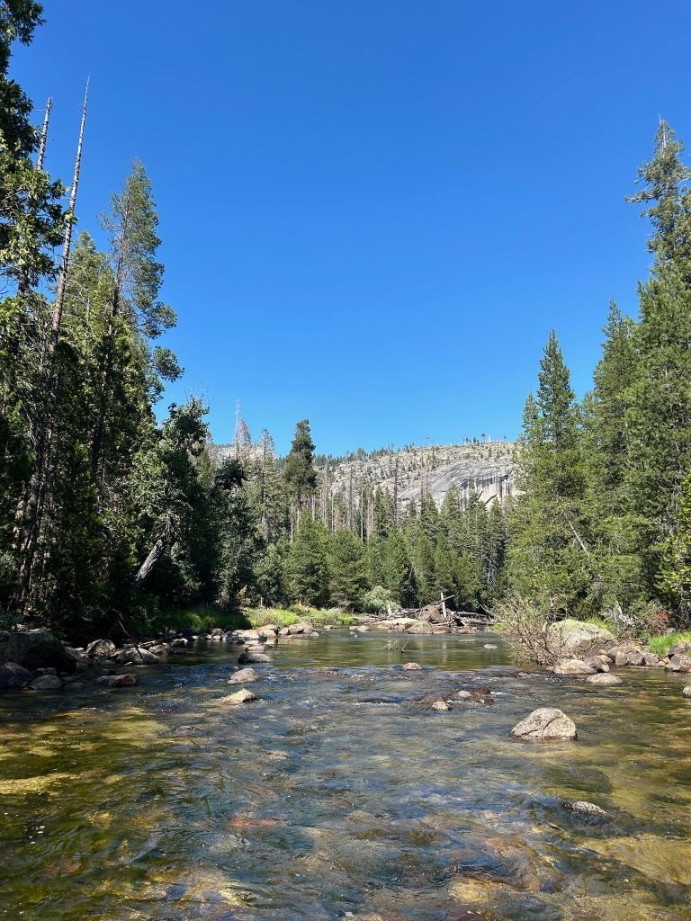 A river surrounded by trees on a sunny day with a mountain in the background.