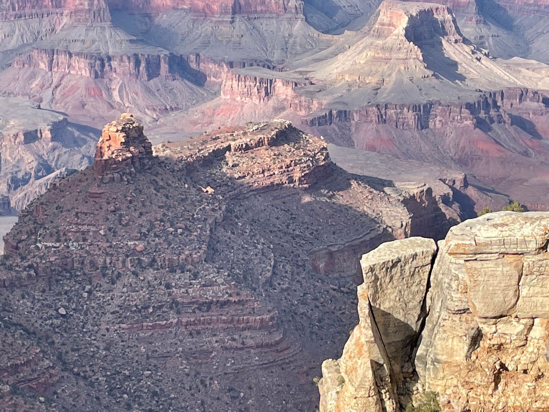 A view of the grand canyon from the edge of a cliff
