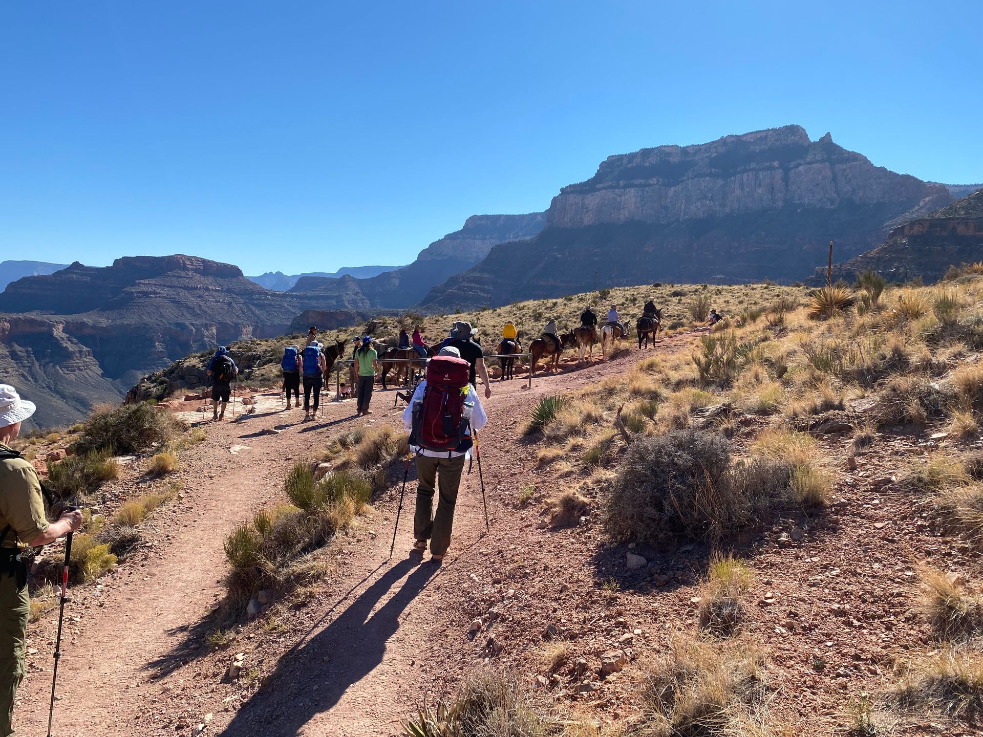 A group of people are walking down a dirt road.