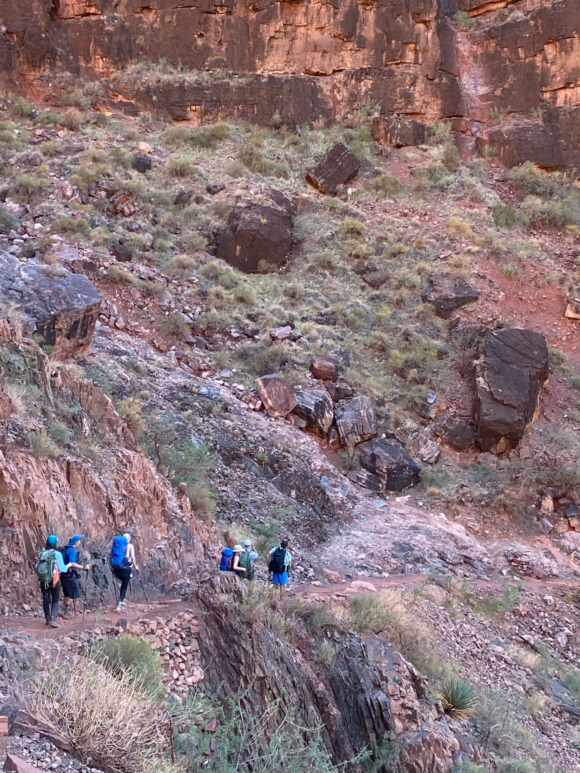 A group of people are walking down a trail in the desert.