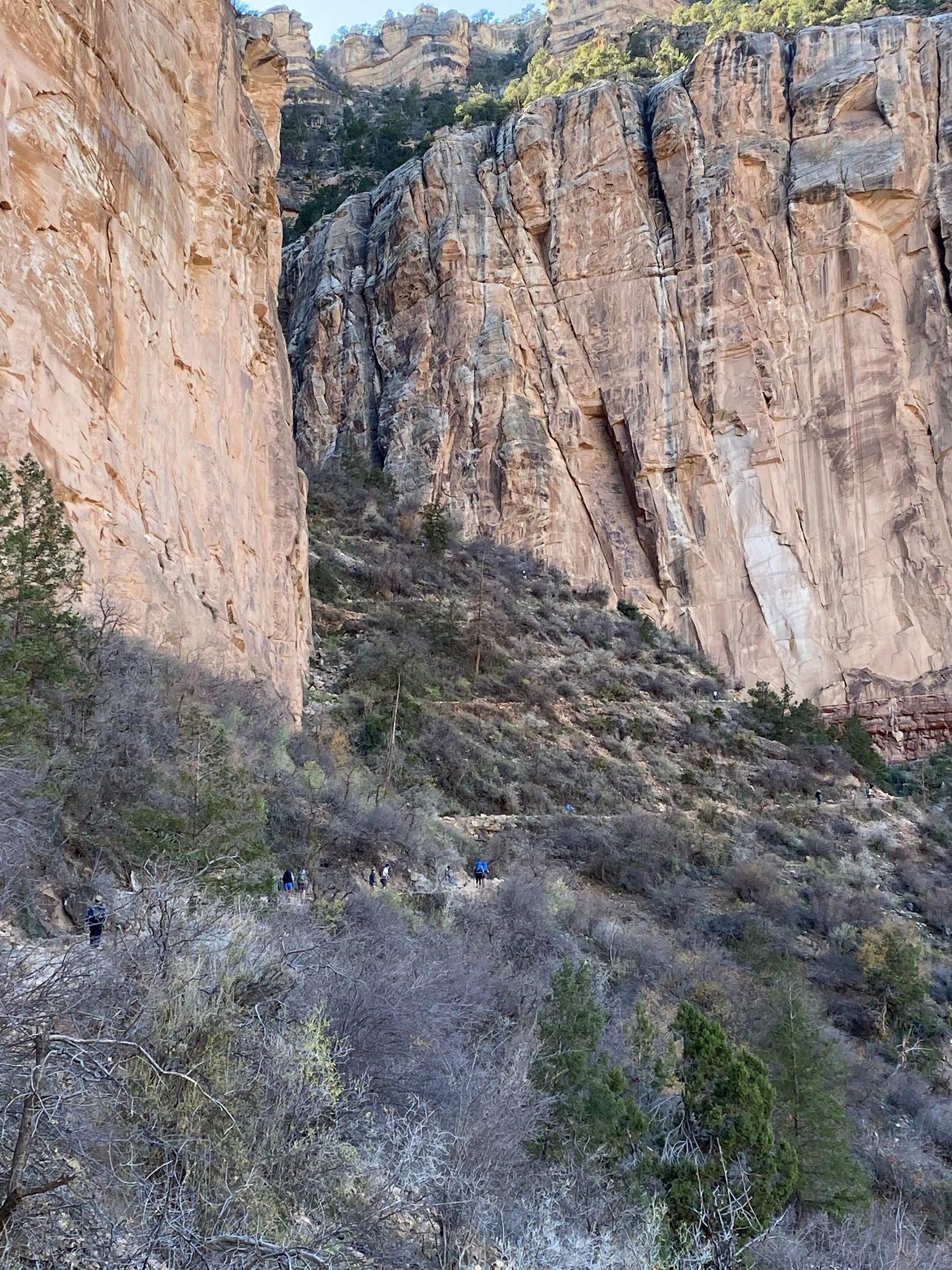 A canyon with a lot of rocks and trees in it
