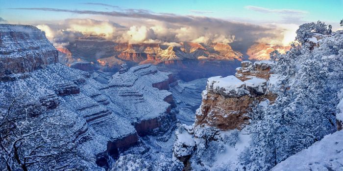 The grand canyon is covered in snow and trees.