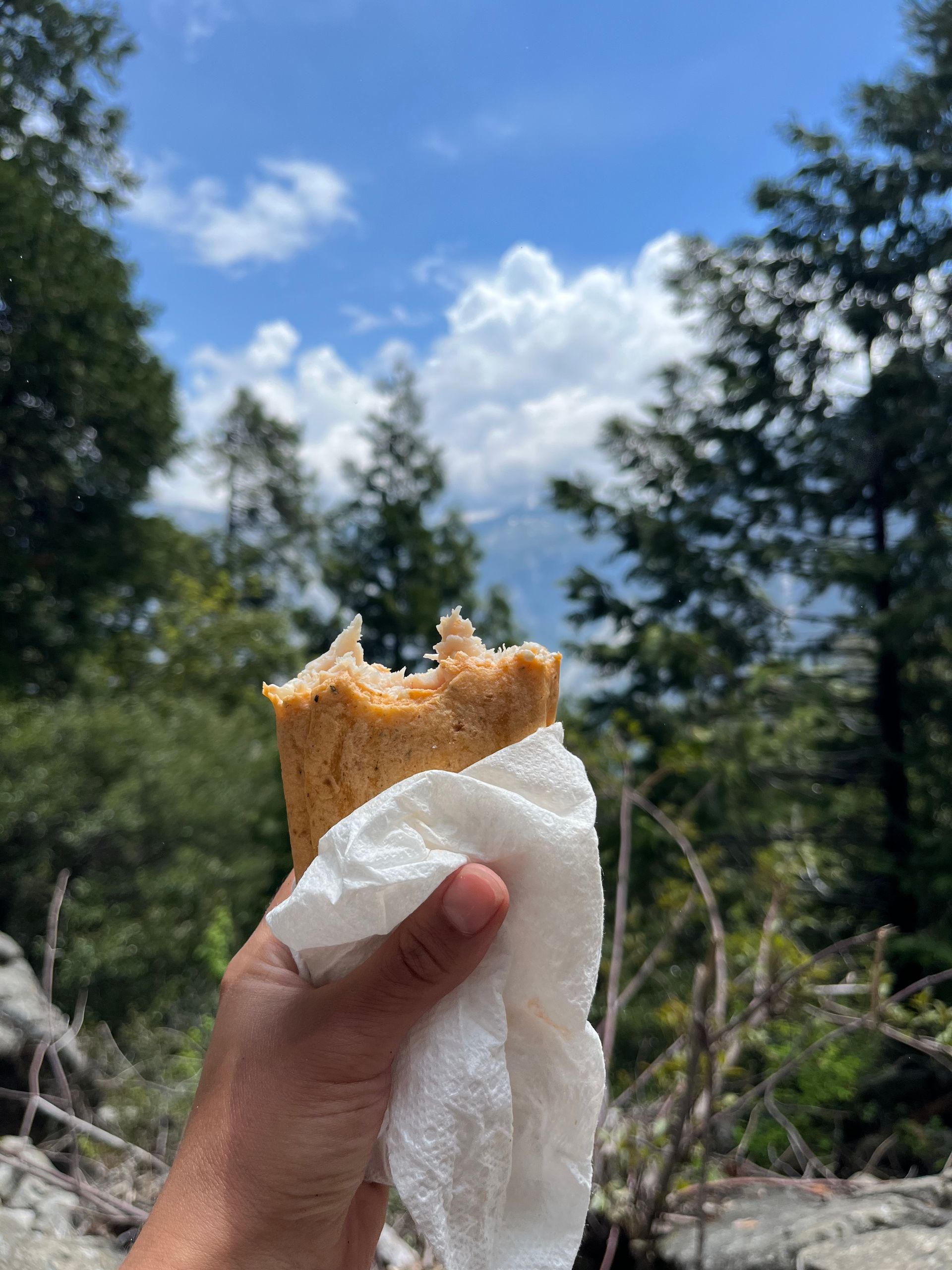 A person is holding a piece of bread in their hand.