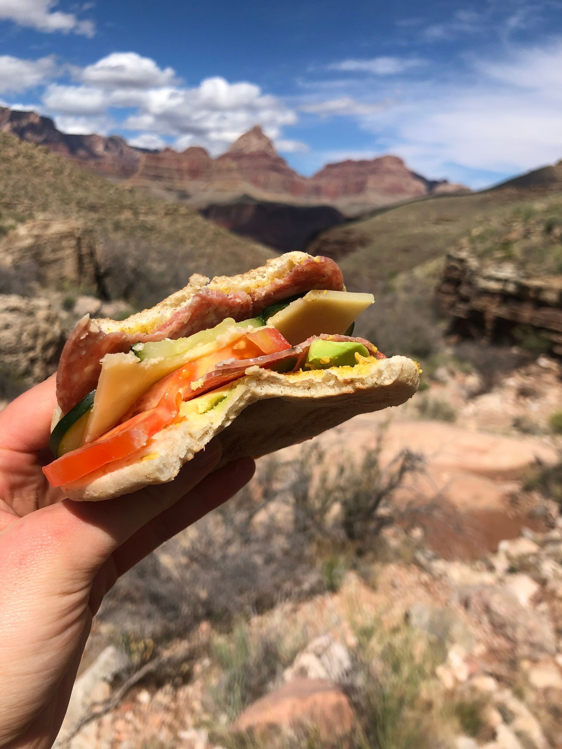 A person is holding a sandwich in front of a mountain.