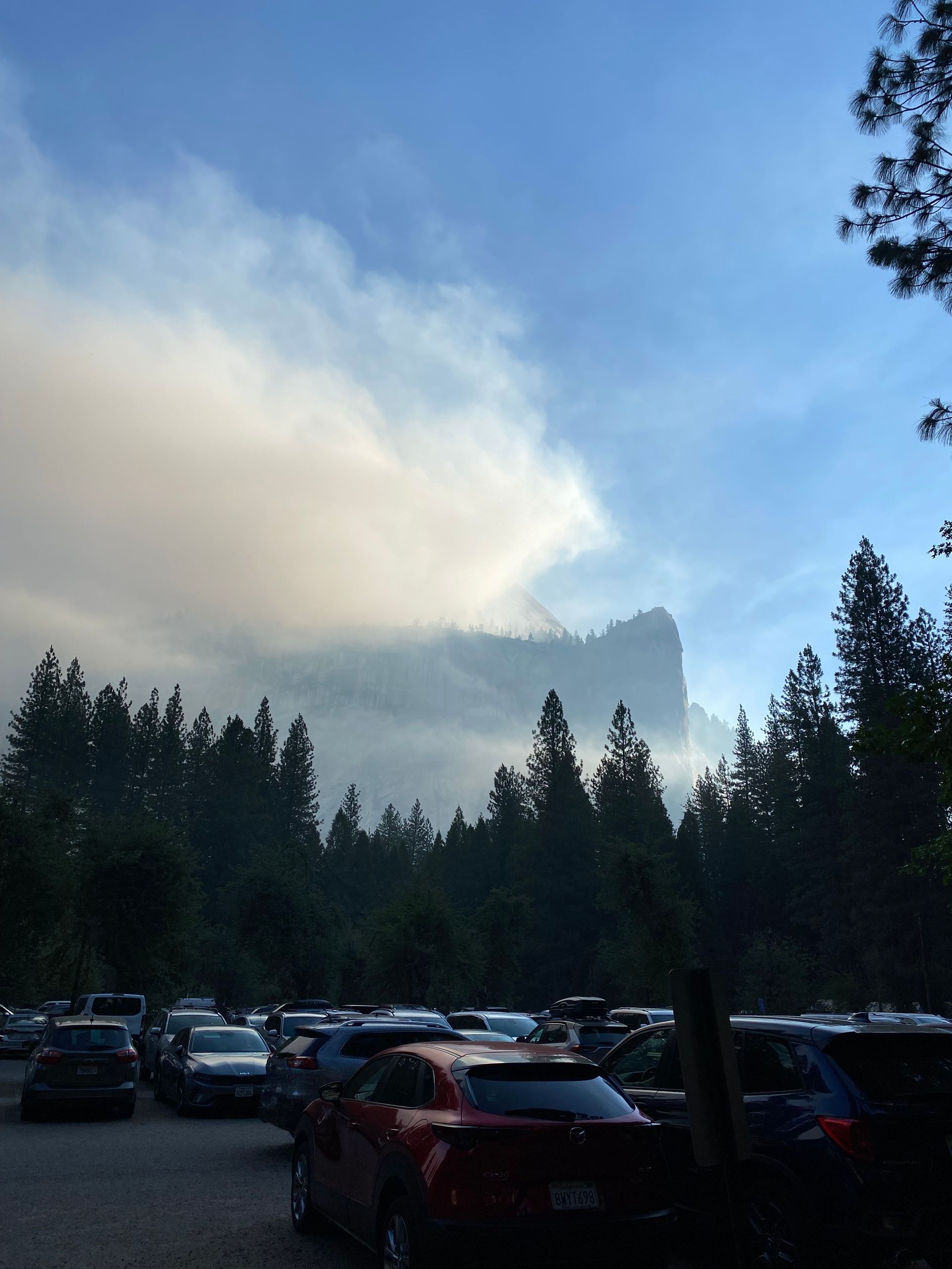A lot of cars are parked in a parking lot with a mountain in the background