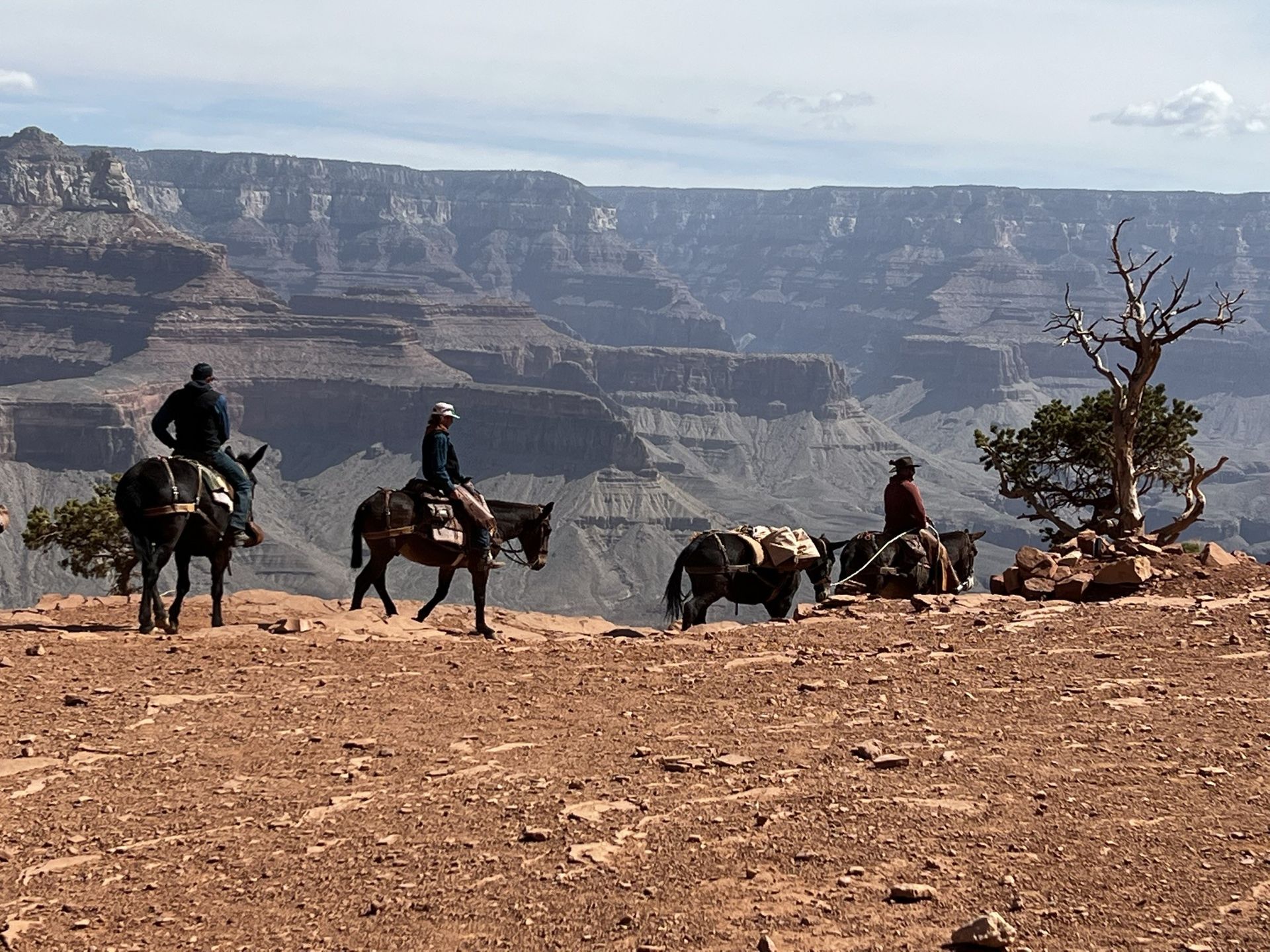 A group of people riding horses in the desert