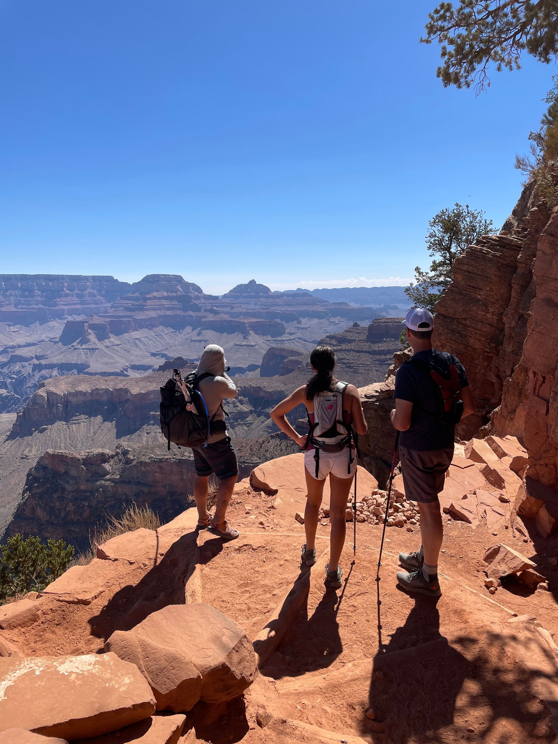 A group of people are standing on top of a rocky cliff overlooking the grand canyon.
