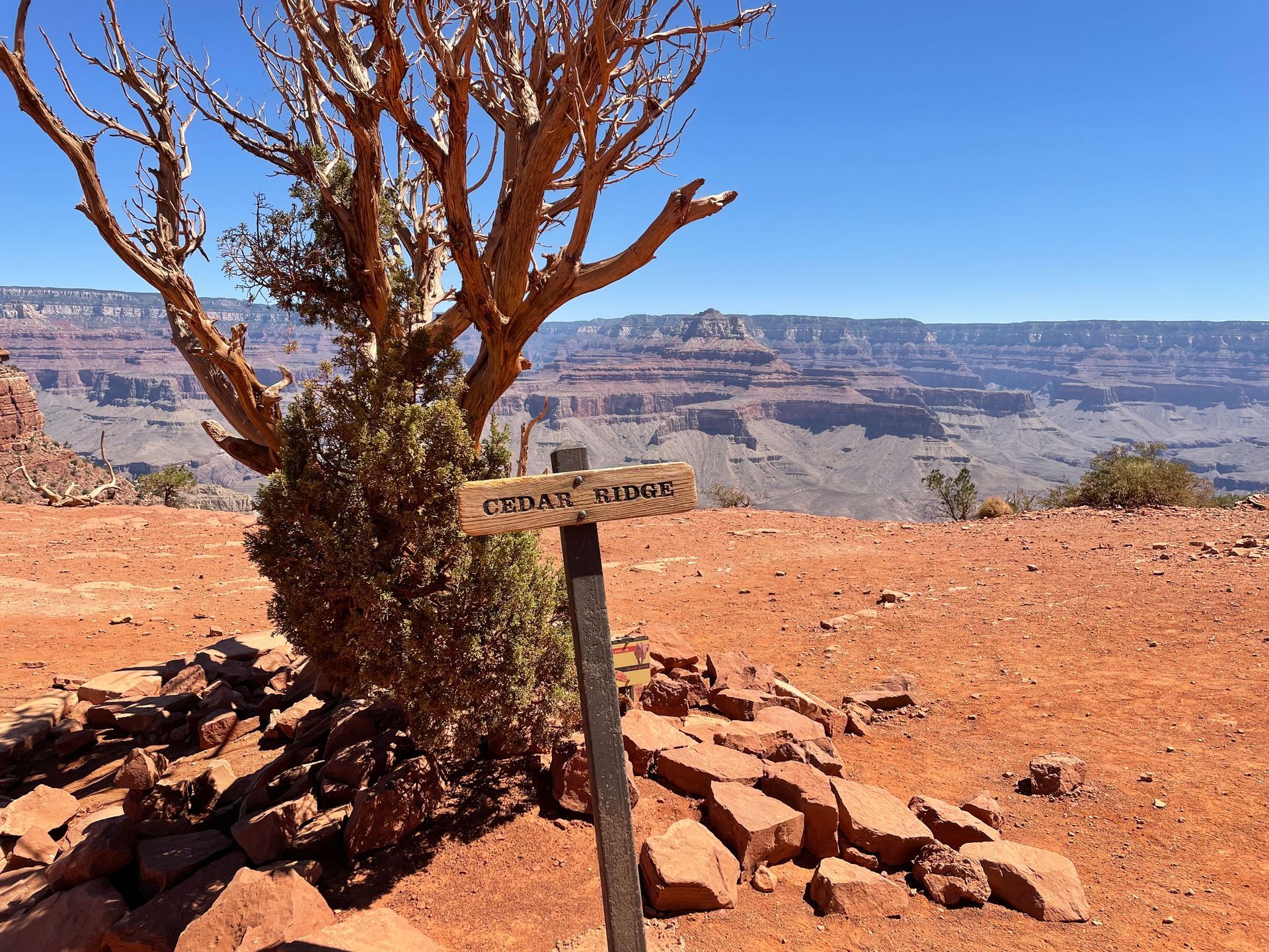 A sign in the middle of a desert with a tree in the background