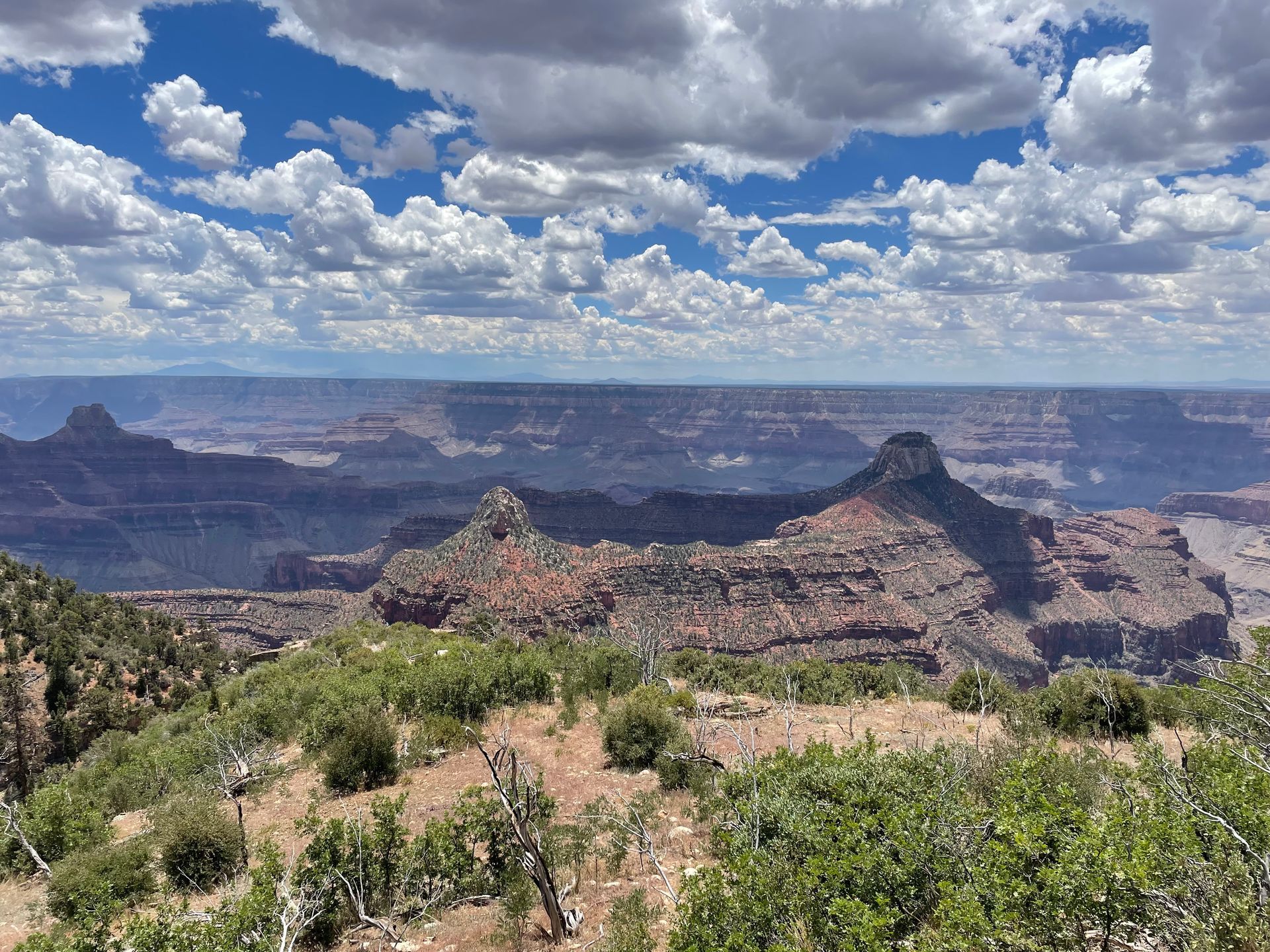 A view of the grand canyon from the top of a mountain.