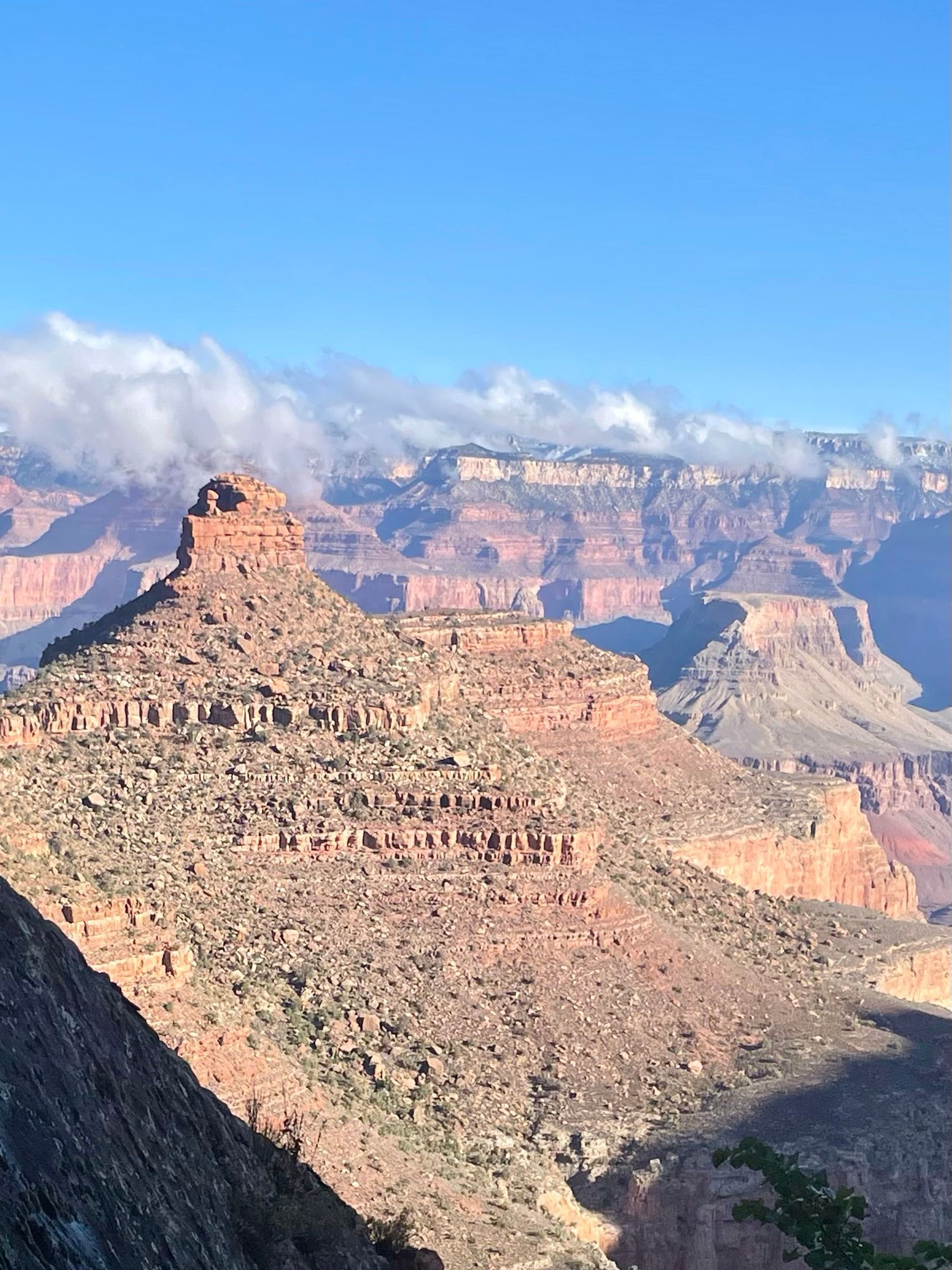 A view of the grand canyon from the top of a mountain.