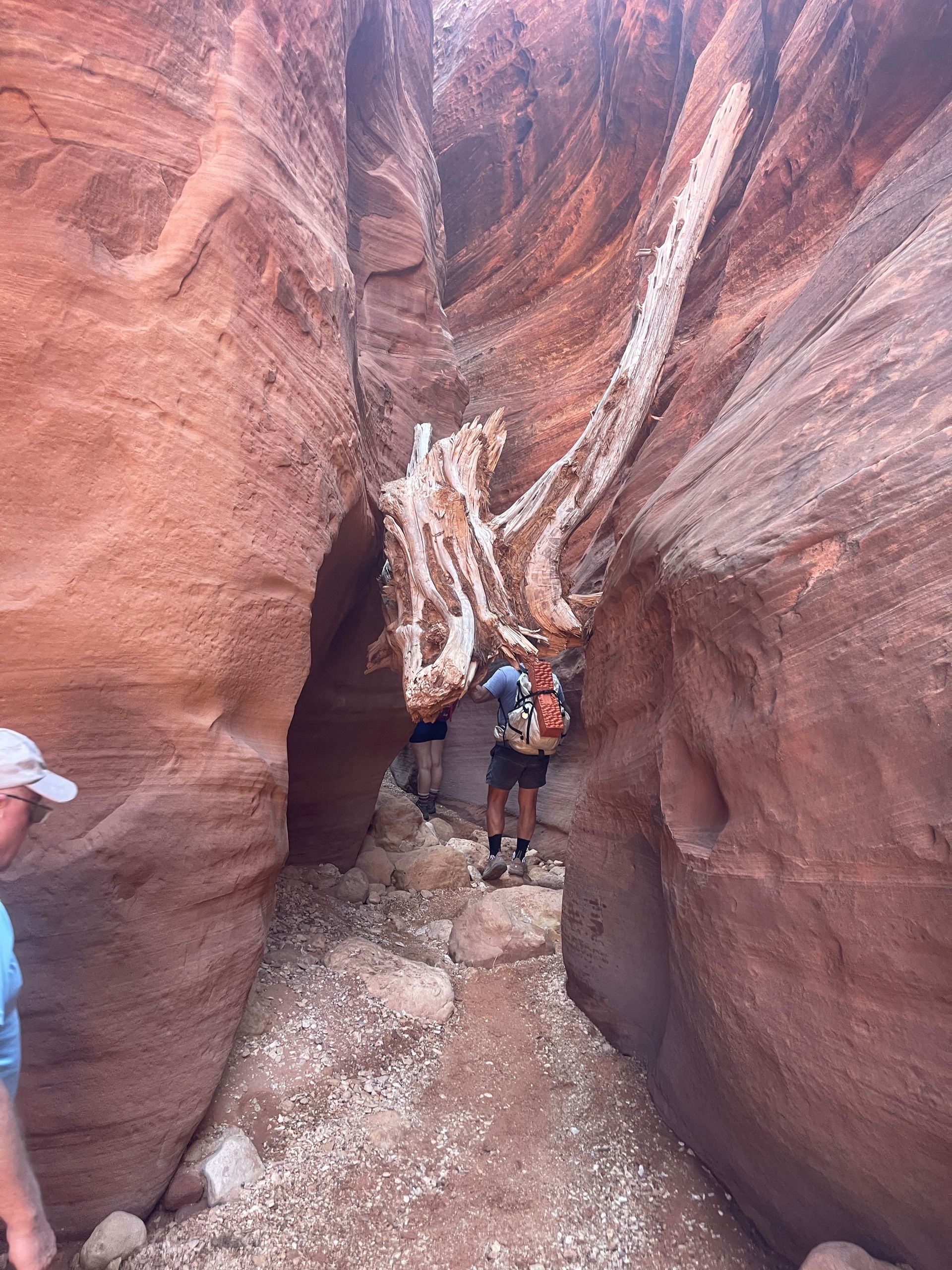 A group of people are walking through a canyon.