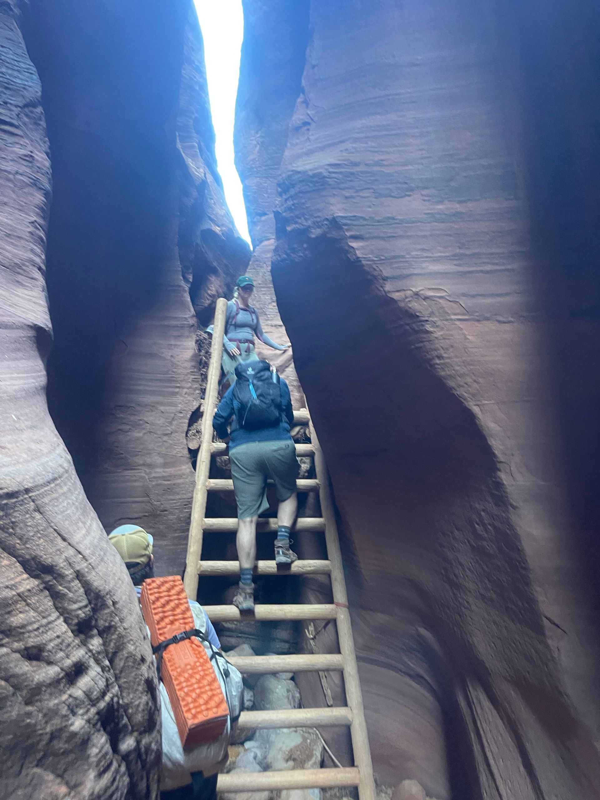 A group of people are climbing up a wooden ladder in a canyon.
