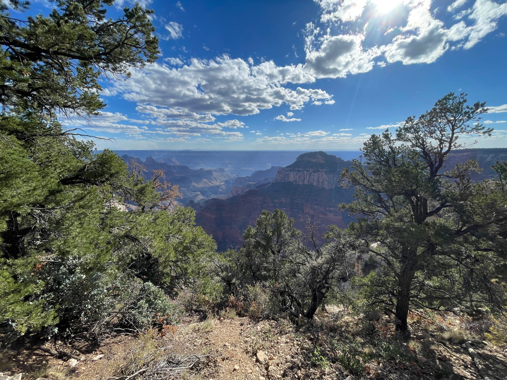 A view of the grand canyon from the top of a mountain.