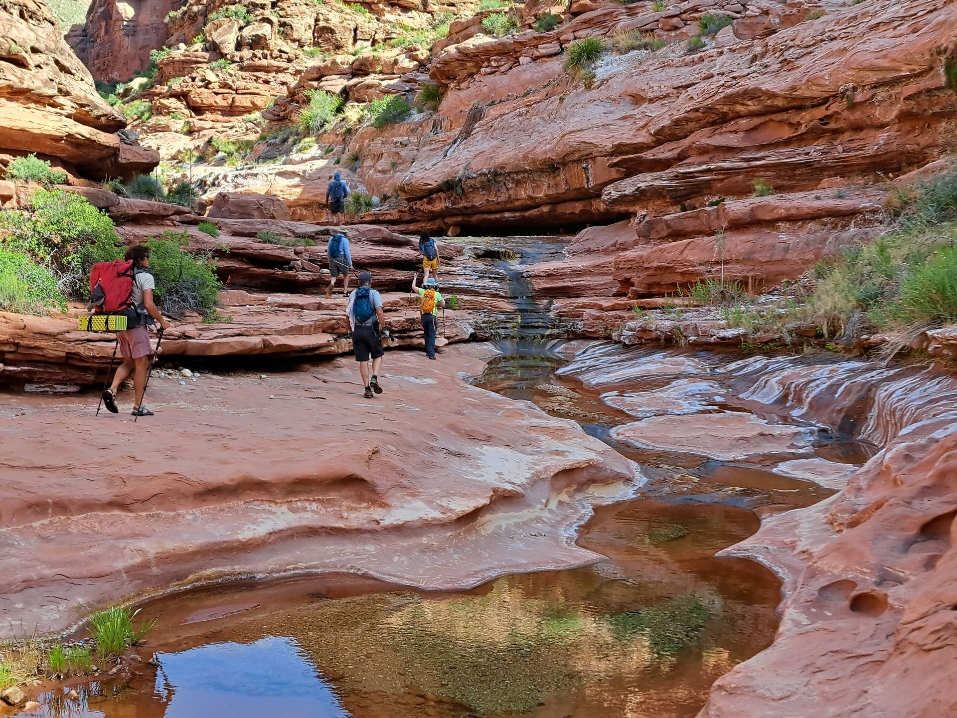 A group of people are walking through a canyon next to a river.