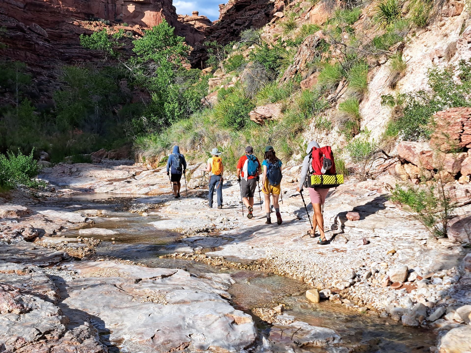 A group of people are hiking down a river in the mountains.