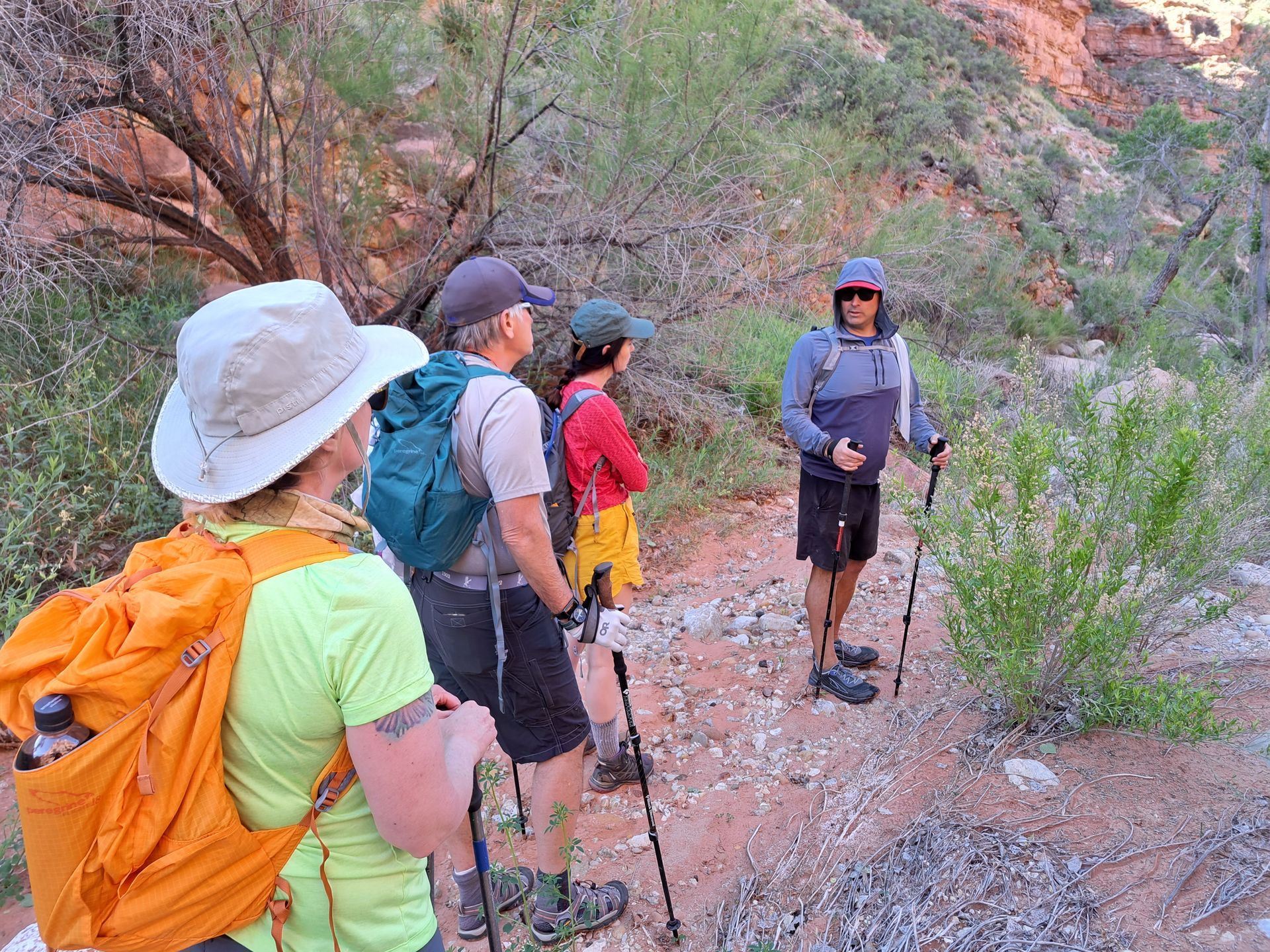 A group of people are hiking down a trail.