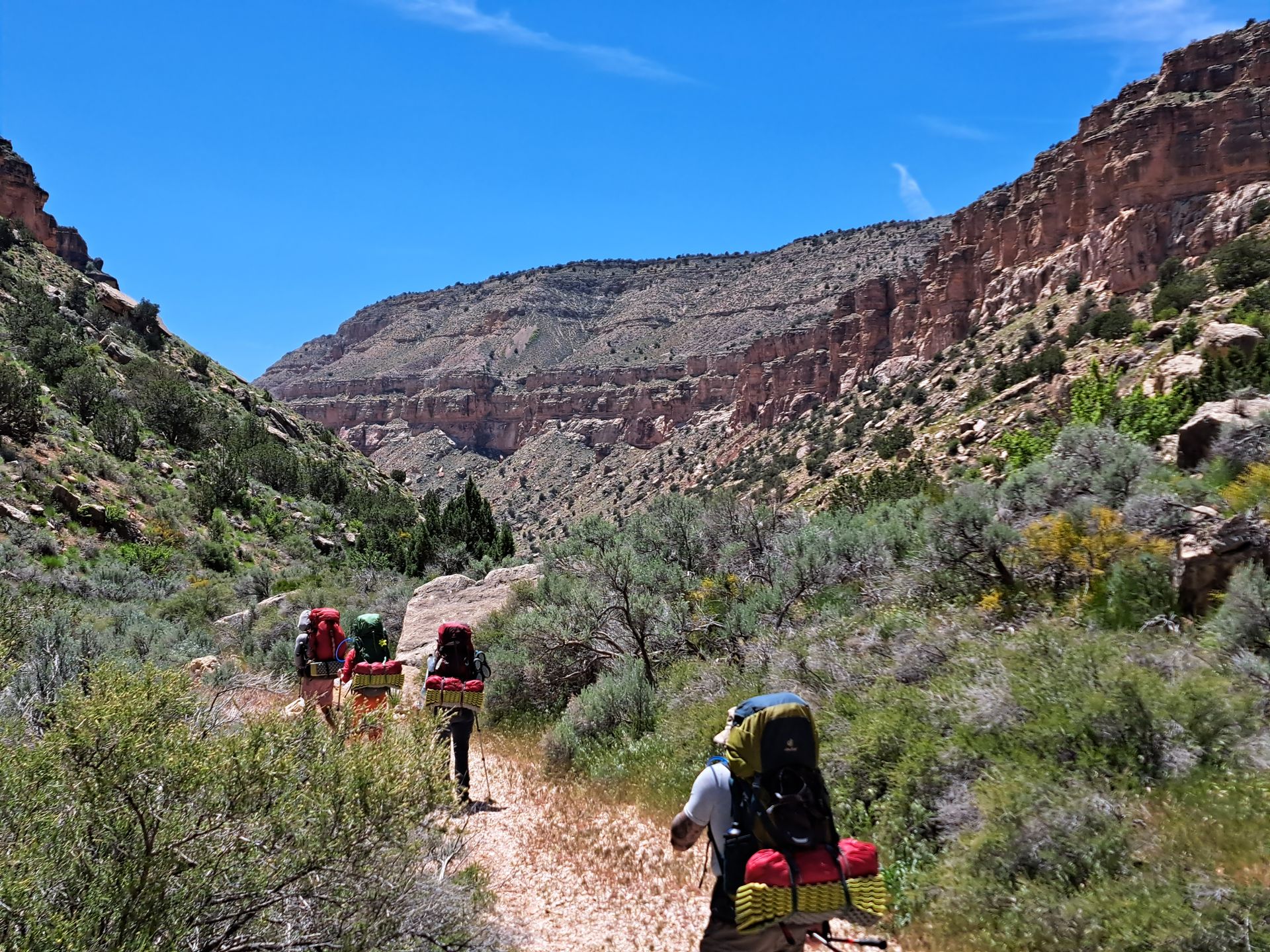 A group of people are hiking down a dirt path in the mountains.