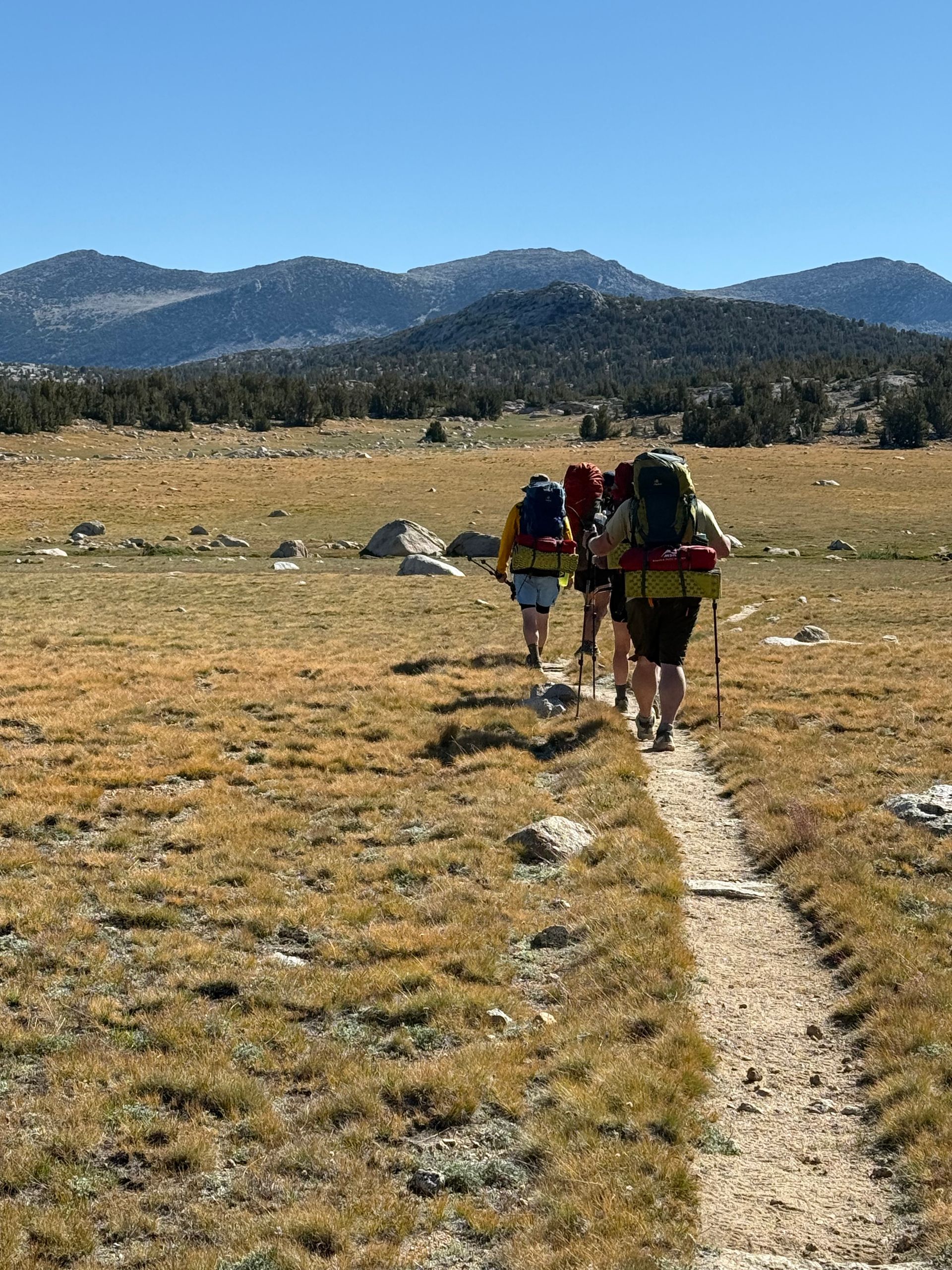 Hikers on a trail in a field, mountains in the background. Bright sunny day, blue sky.