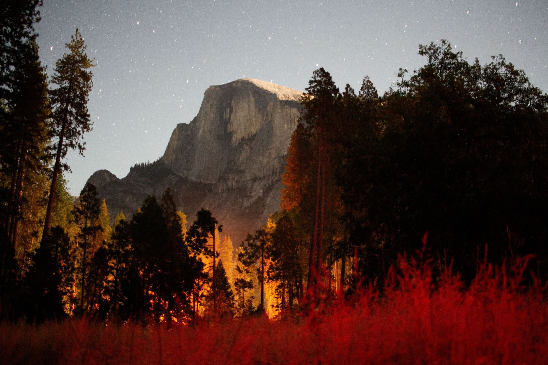 A mountain is visible behind a forest at night