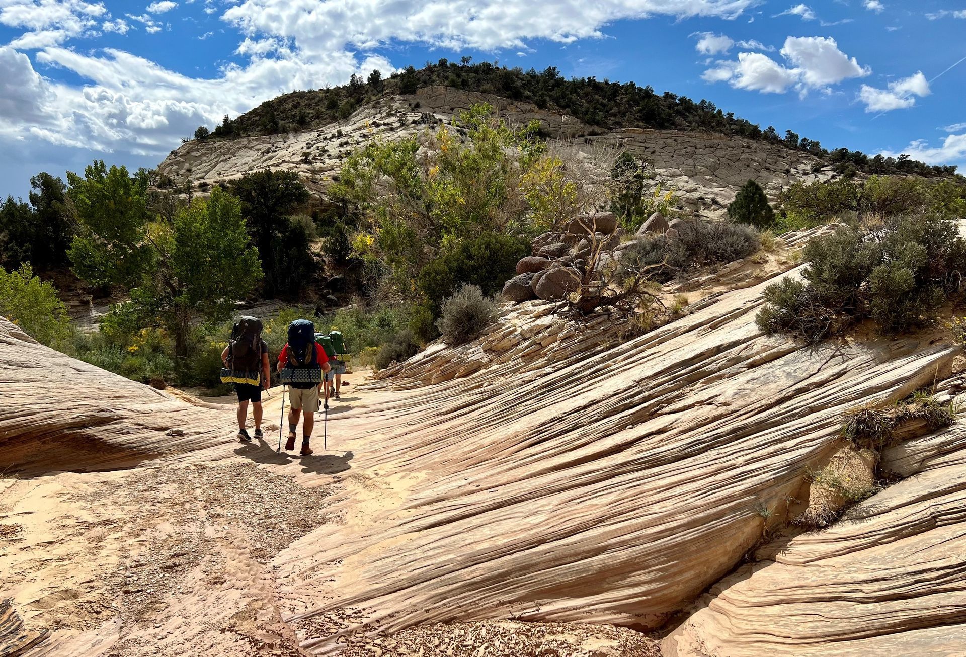 Two people with backpacks are walking down a dirt path.