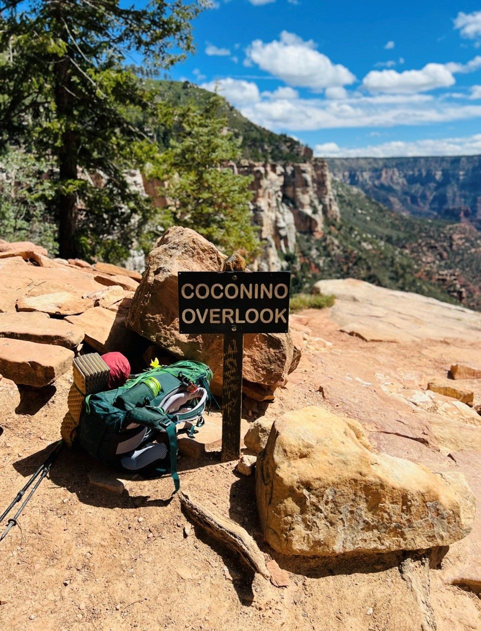 A backpack is sitting on top of a rock next to a sign that says coconino overlook.