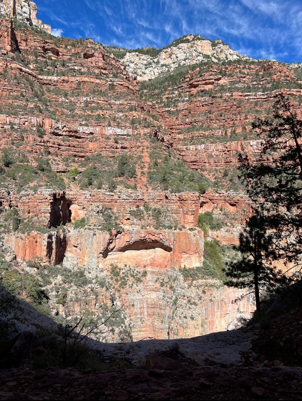 There is a bridge in the middle of the canyon.