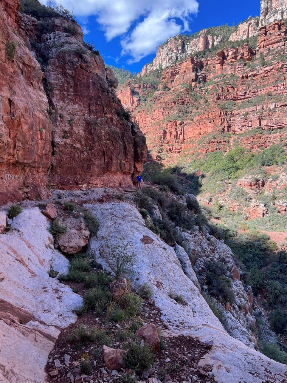 A person is walking down a trail in the middle of a canyon.